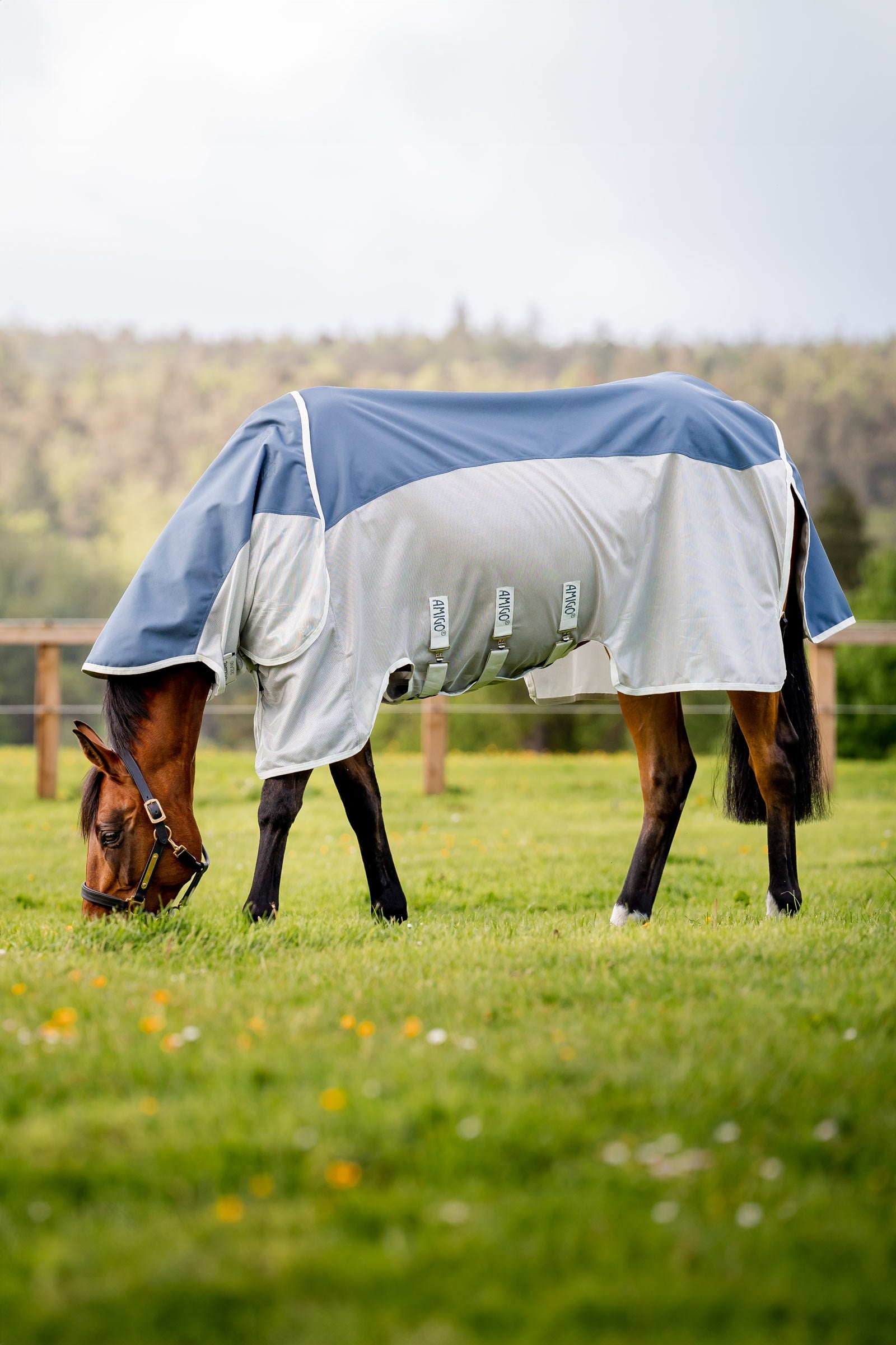 Horseware Amigo AmEco Combi Fly Rug Horse Rugs