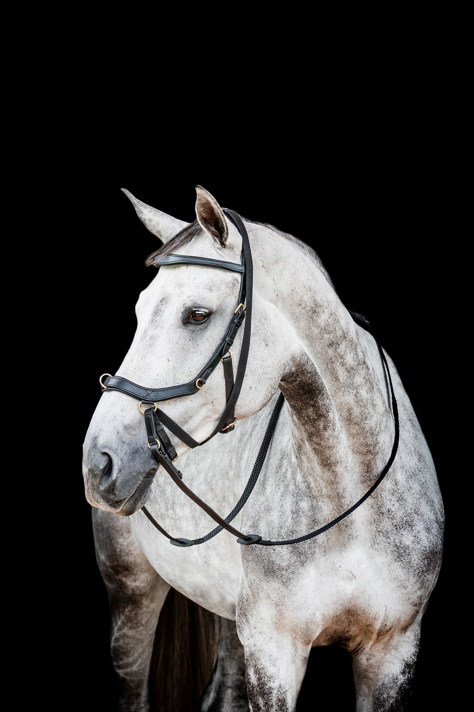 Horseware Micklem 2 Multi Bride Briderie et enrênements