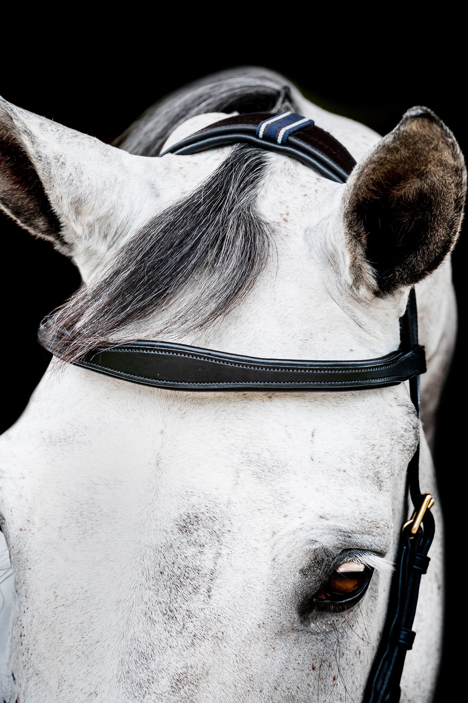 Horseware Micklem 2 Multi Bridle Bridles & Reins