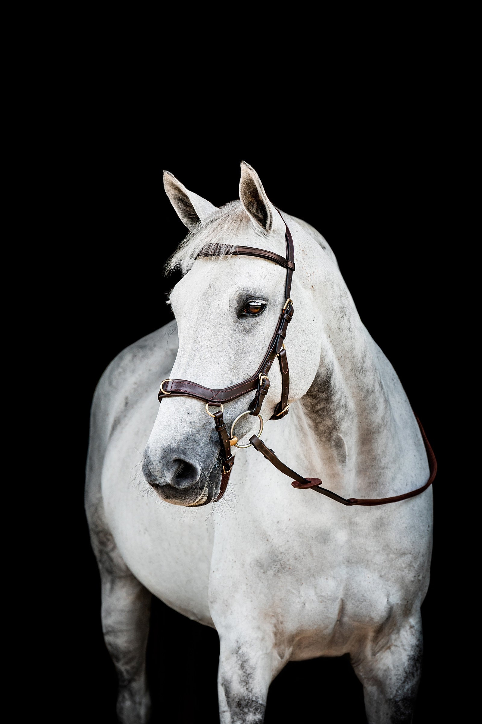 Horseware Micklem 2 Multi Bride Briderie et enrênements