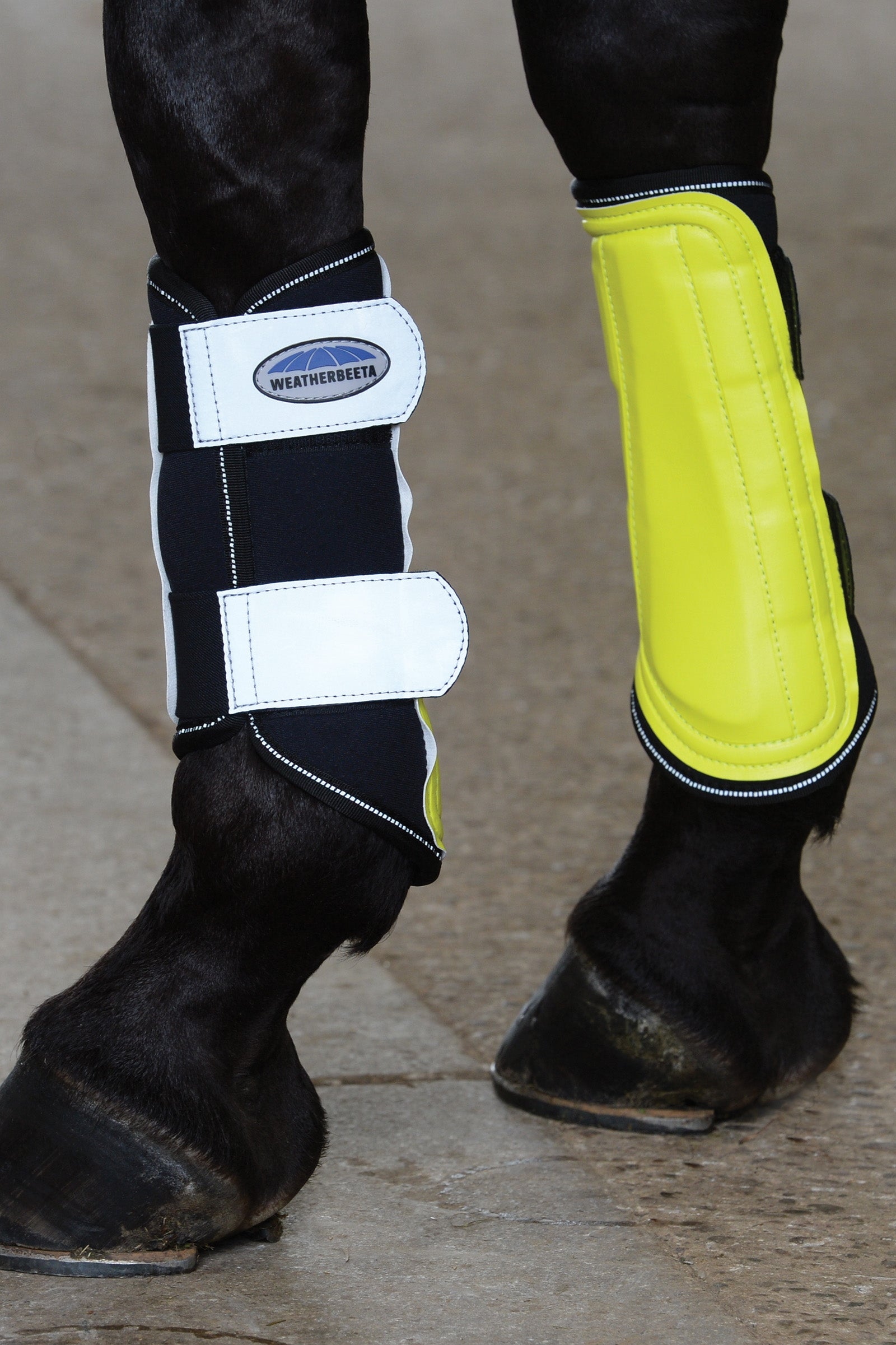 Weatherbeeta Bottes de brossage à verrouillage unique réfléchissantes Weatherbeeta Leg Protection & Hoof Protection for Horses
