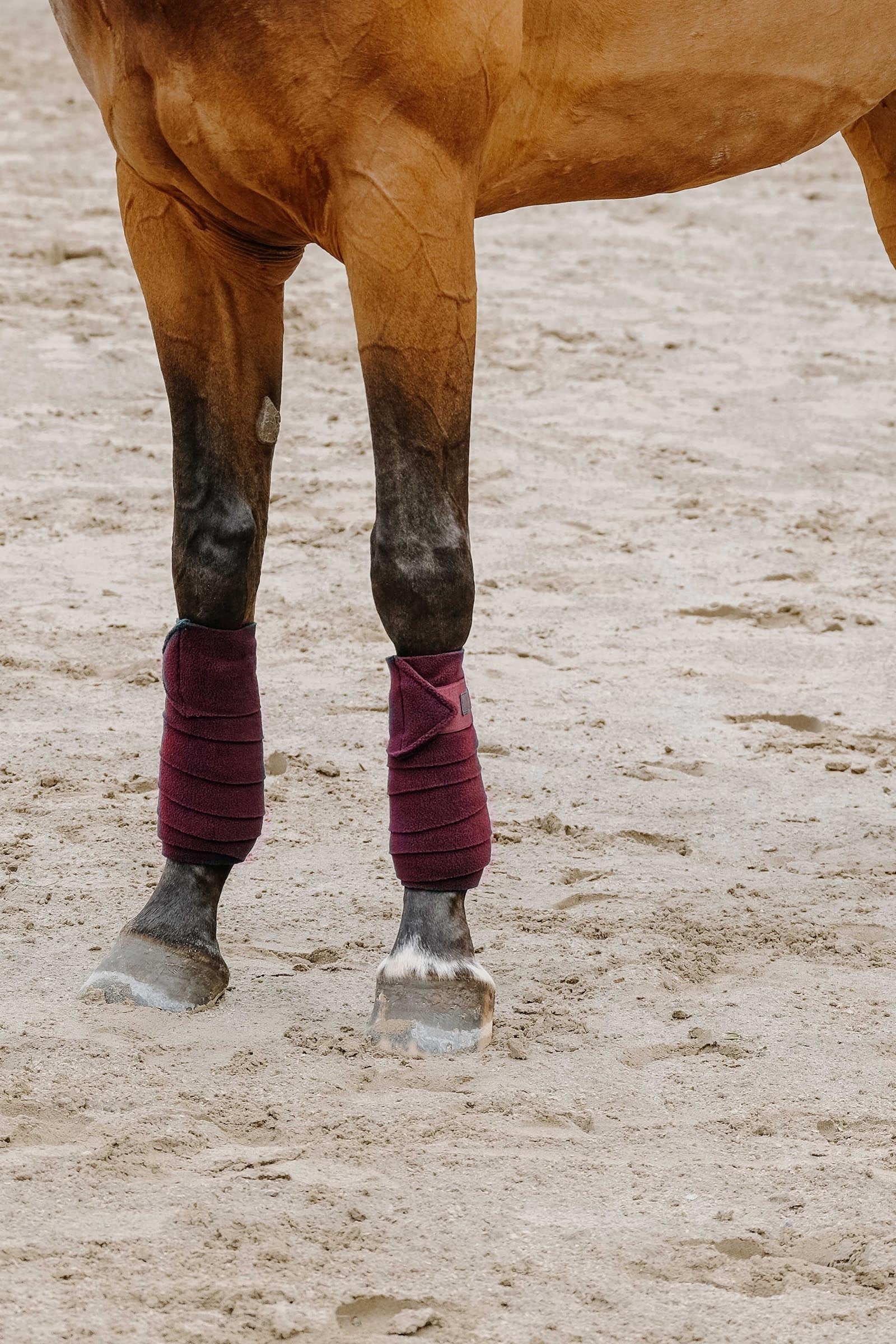 EQUITHÈME Polo Bands (3,0 m) Leg & Hoof Protection