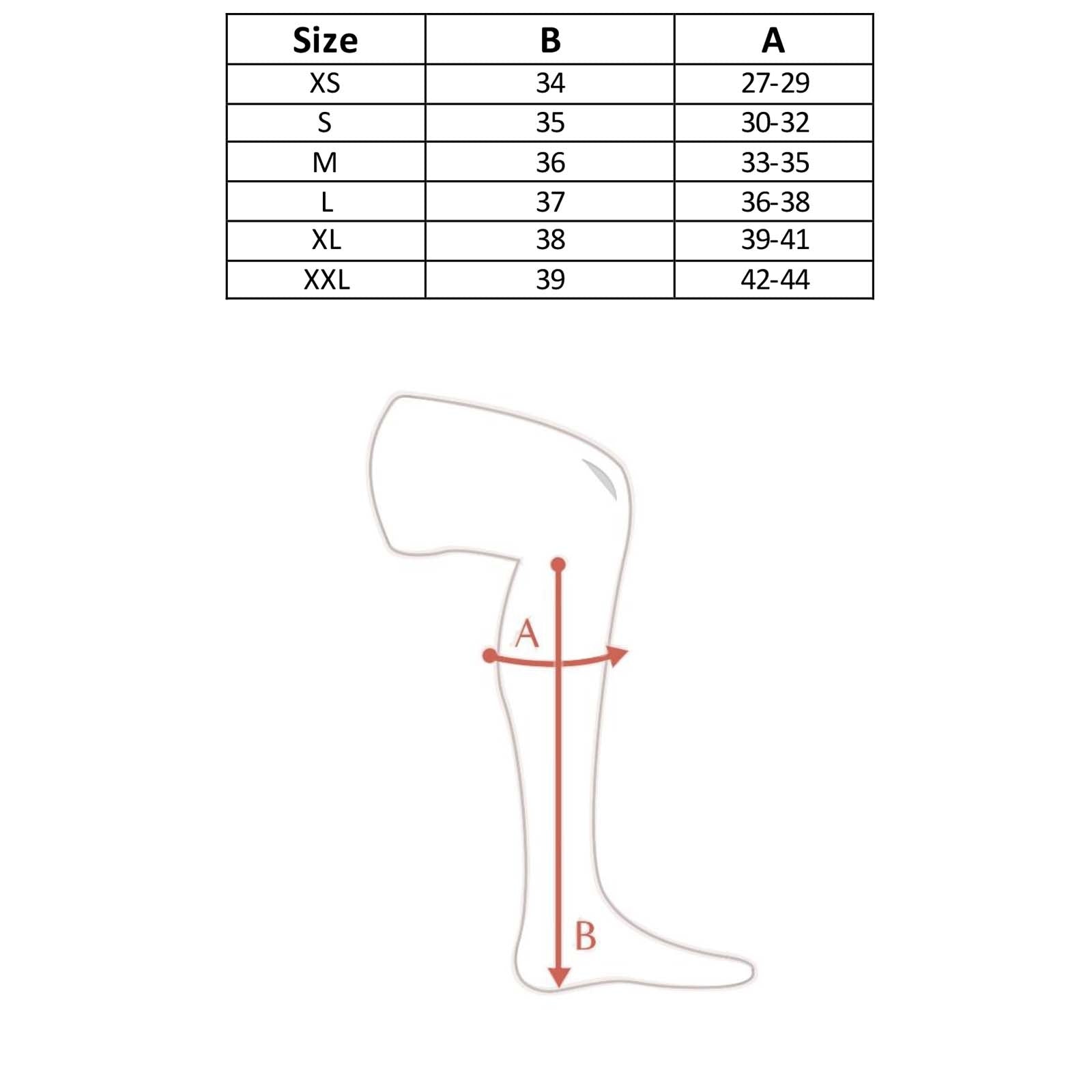 Alt Tag fallback text for IMAGE