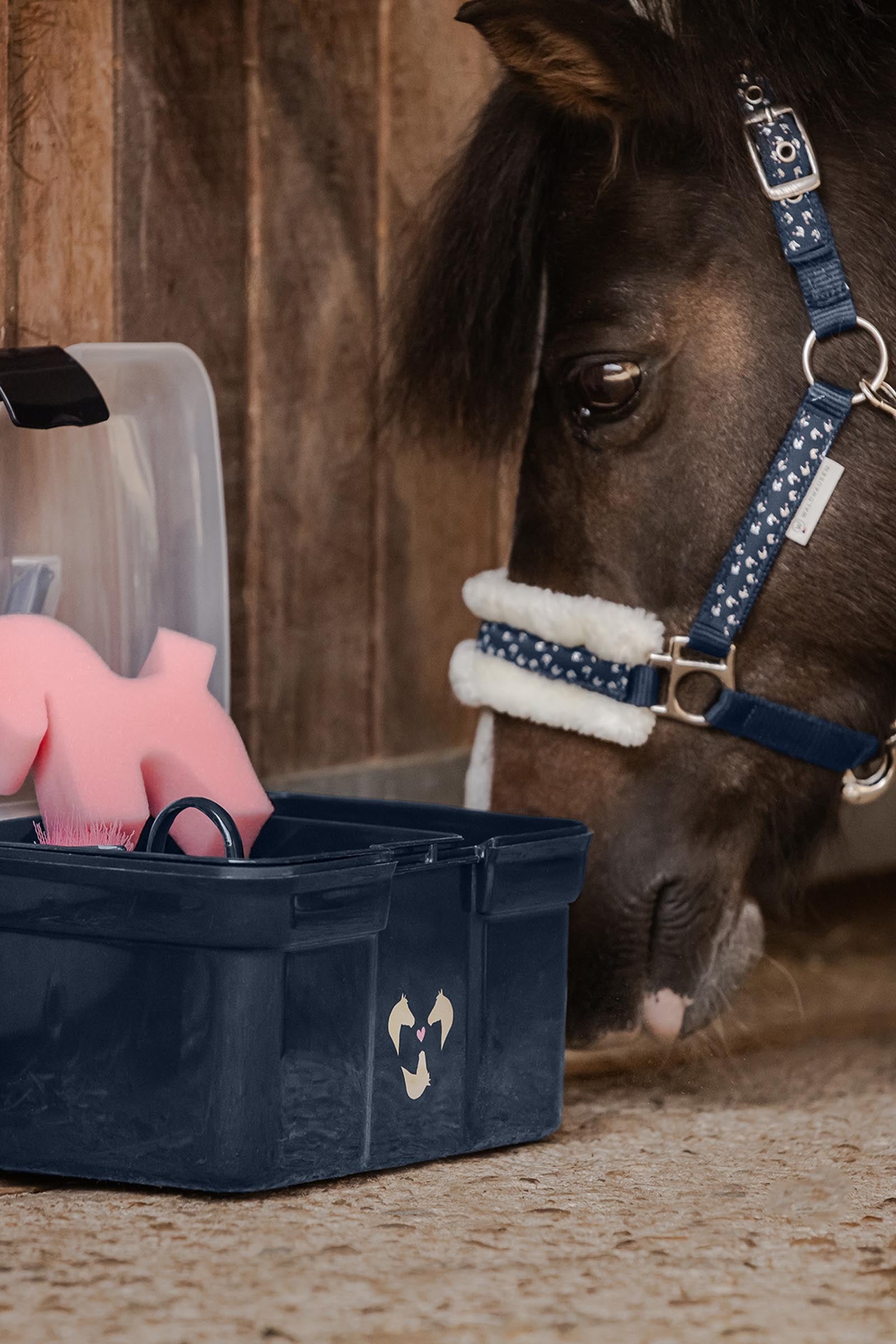 undefined Waldhausen Grooming Box Lucky + Care Set Horse Grooming Tools