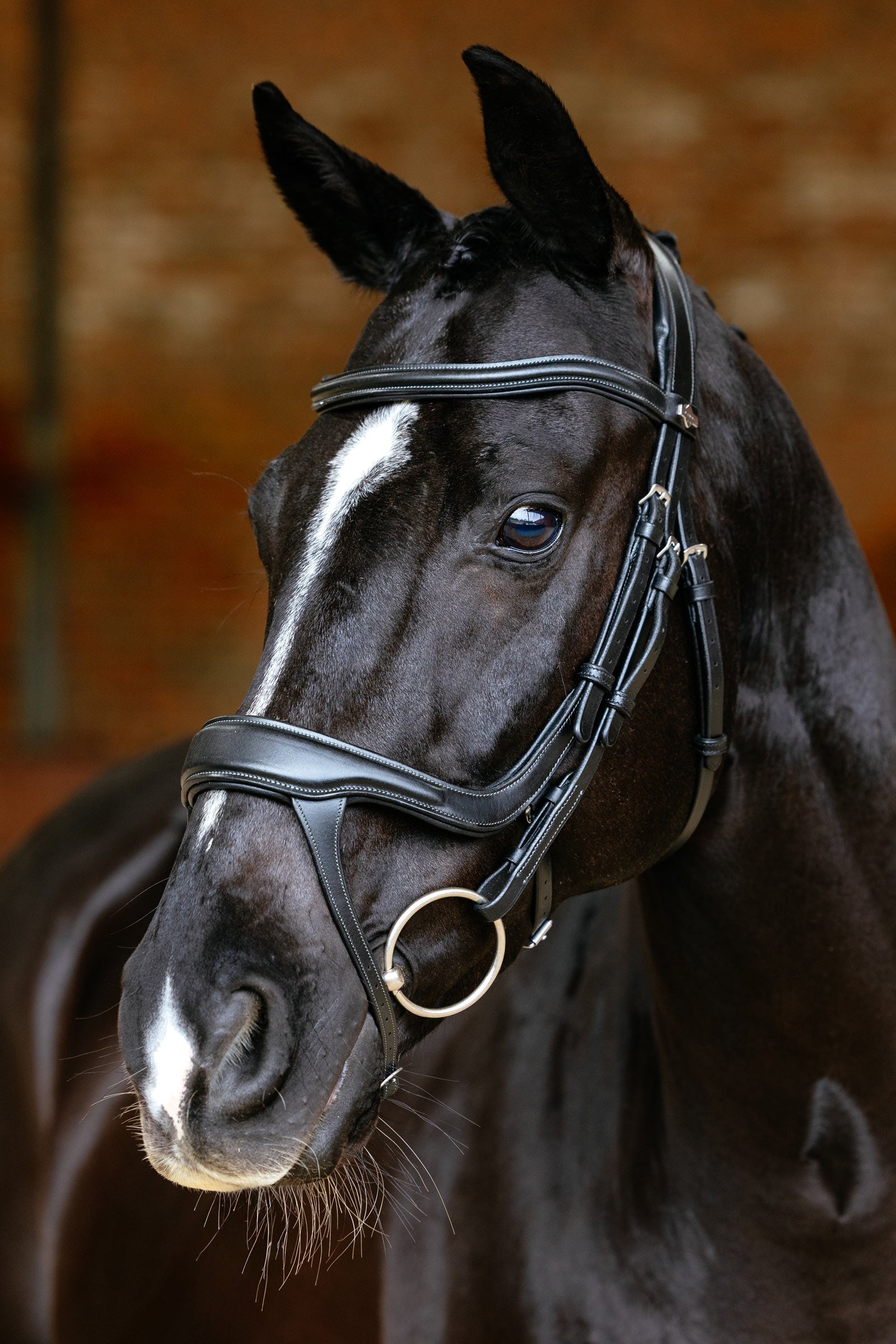 LeMieux Arika Split Noseband Bridle Bridles & Reins
