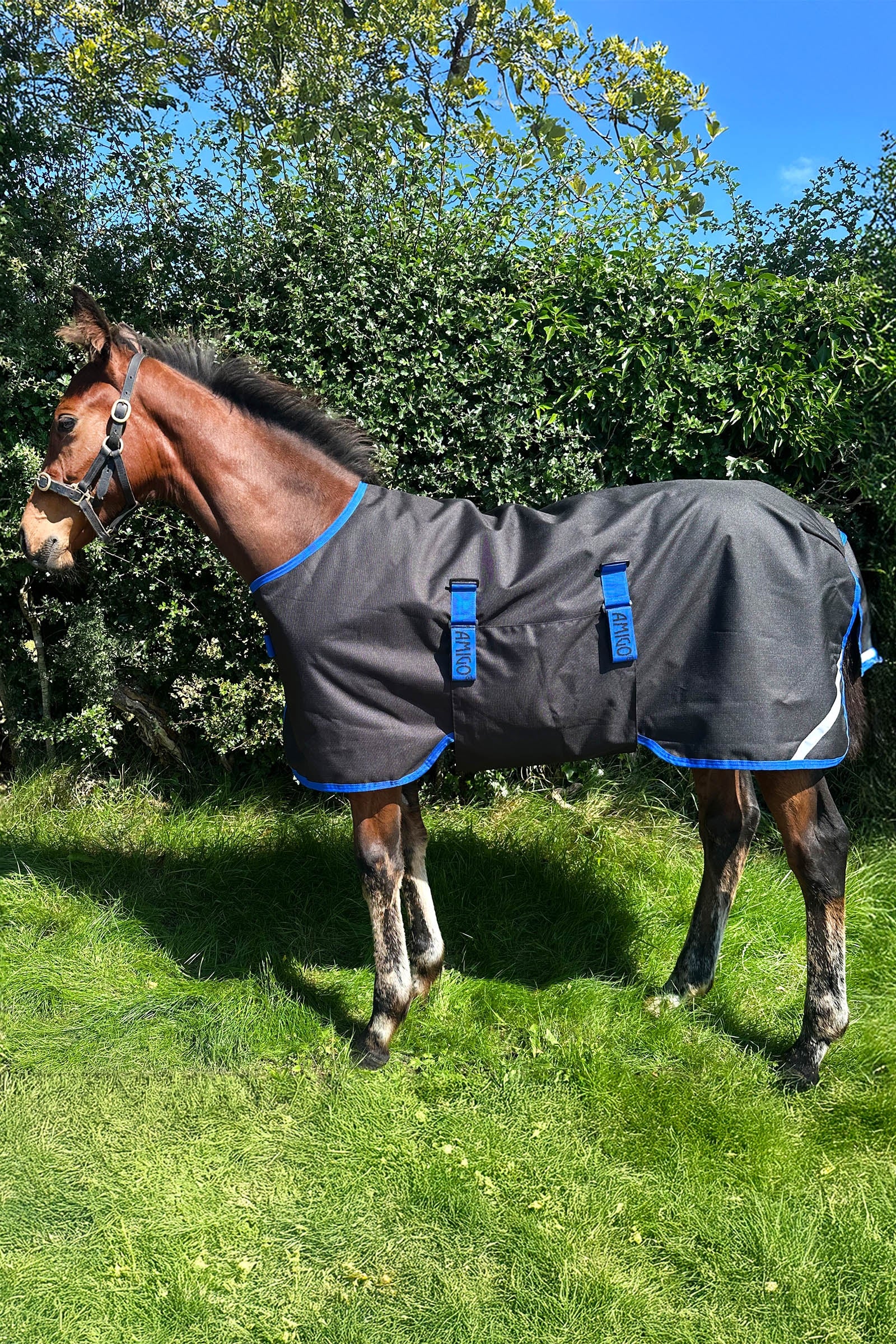 Horseware Amigo Ripstop 900D couverture d'extérieur pour poulain 50g Couvertures cheval