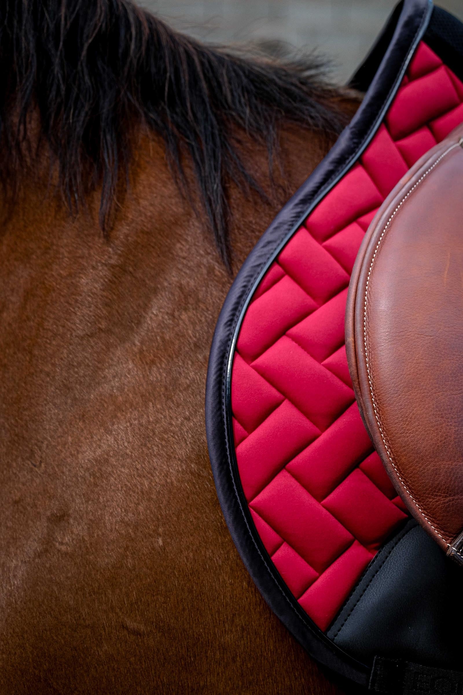 EQUITHÈME Impulsion Saddle Pad Saddle Pads