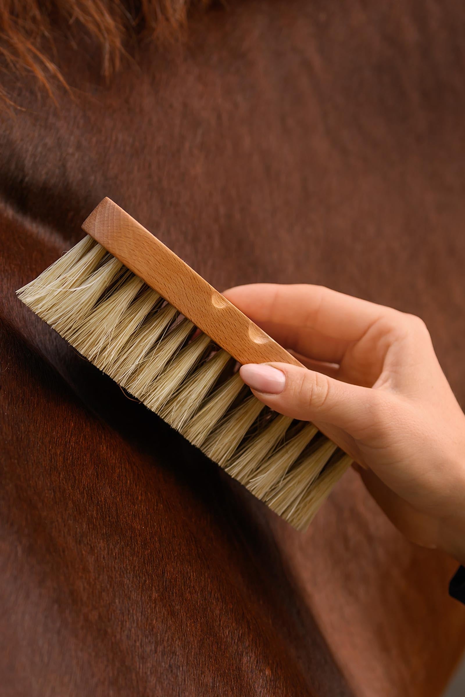 undefined Waldhausen Exclusive Line Contour Brush Horse Grooming Tools