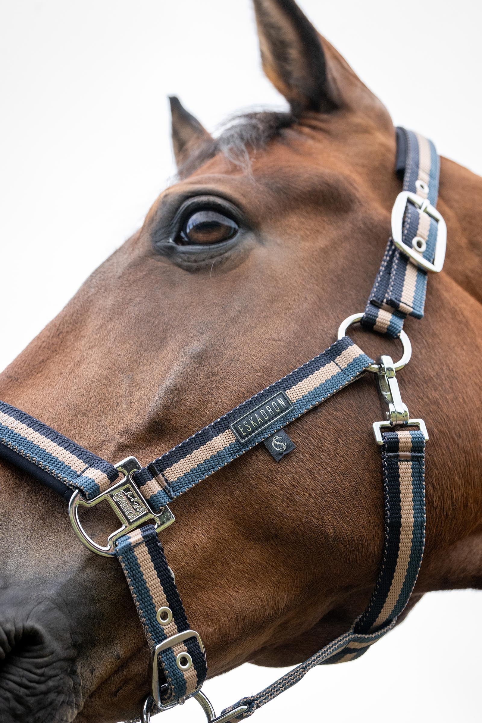 Eskadron Classic Sport SS26 Double Pin Headcollar Halters & Leads