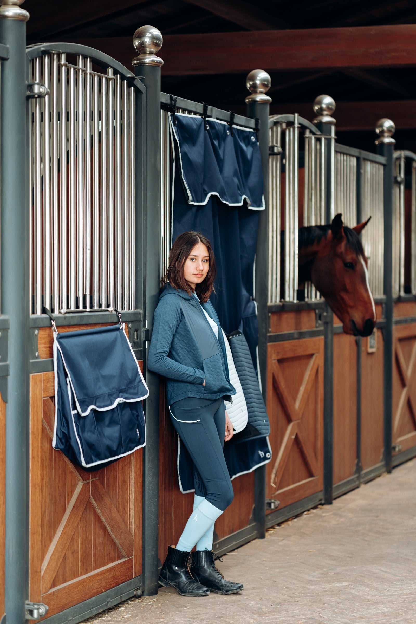 140 dées de Remorque pour cheval | cheval, remorque, van chevaux 140 dées de Remorque pour cheval | cheval, remorque, van chevaux