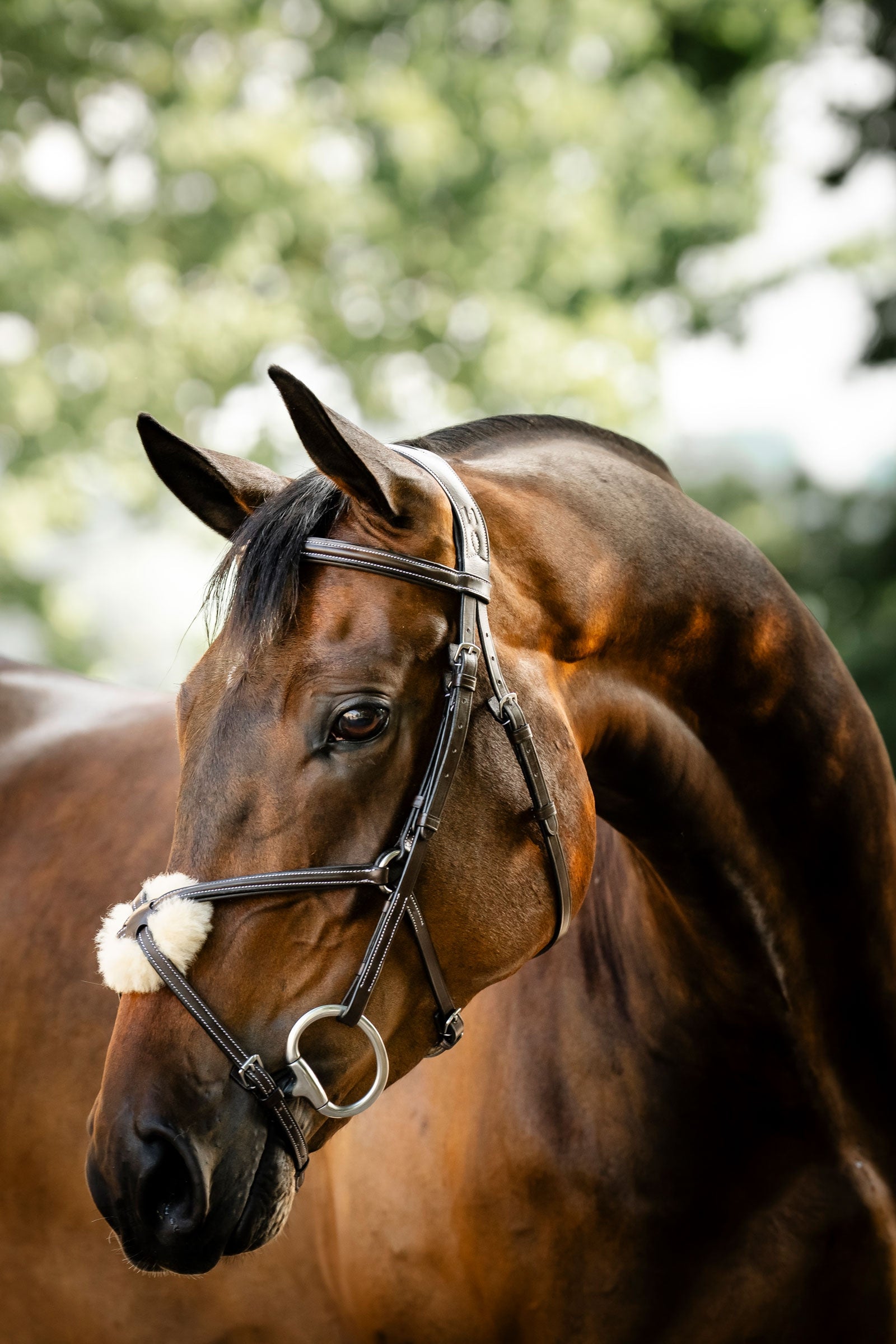 Horseware bridon à muserolle croisée Briderie et enrênements