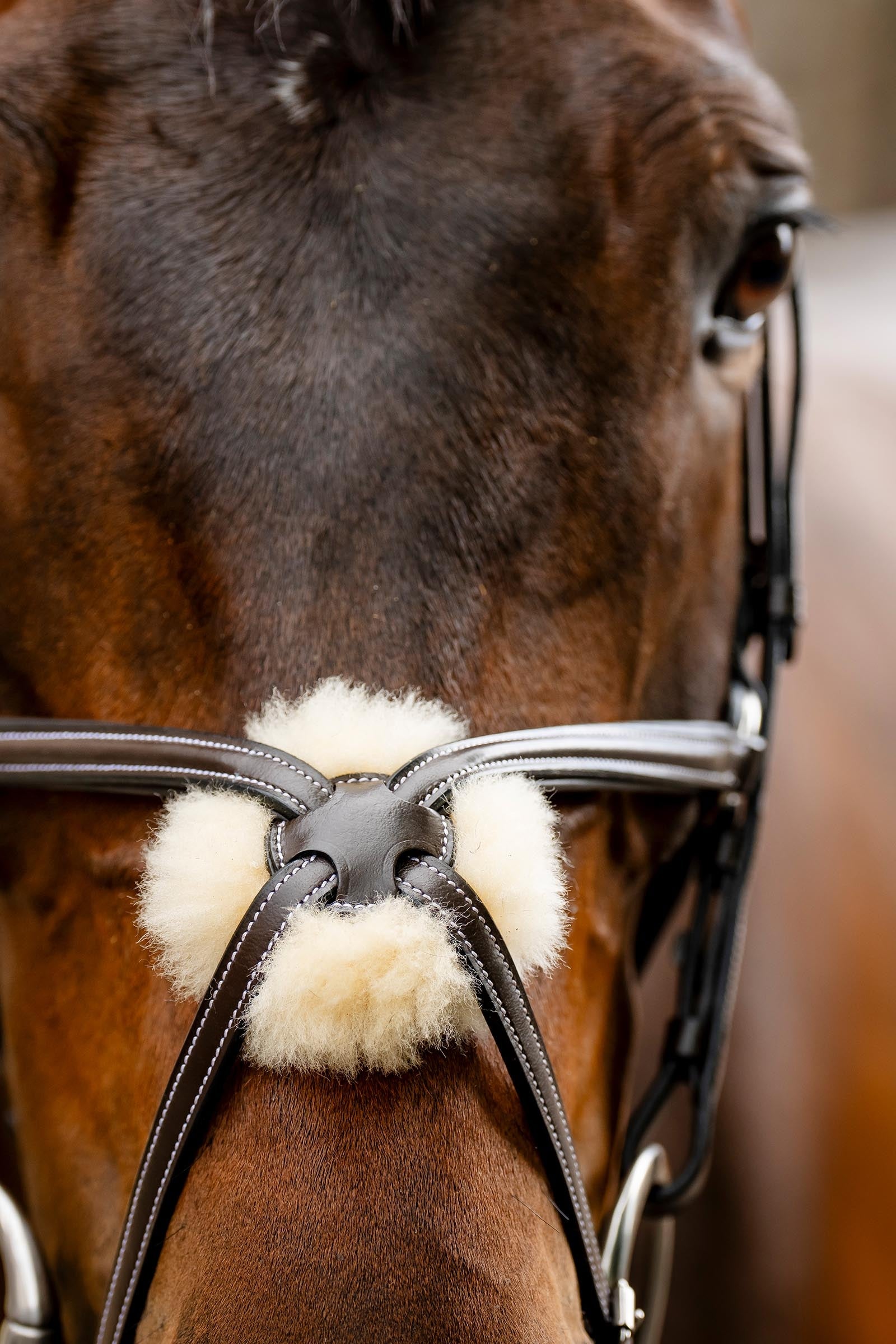 Horseware Figure 8 Grackle Bridle Bridles & Reins