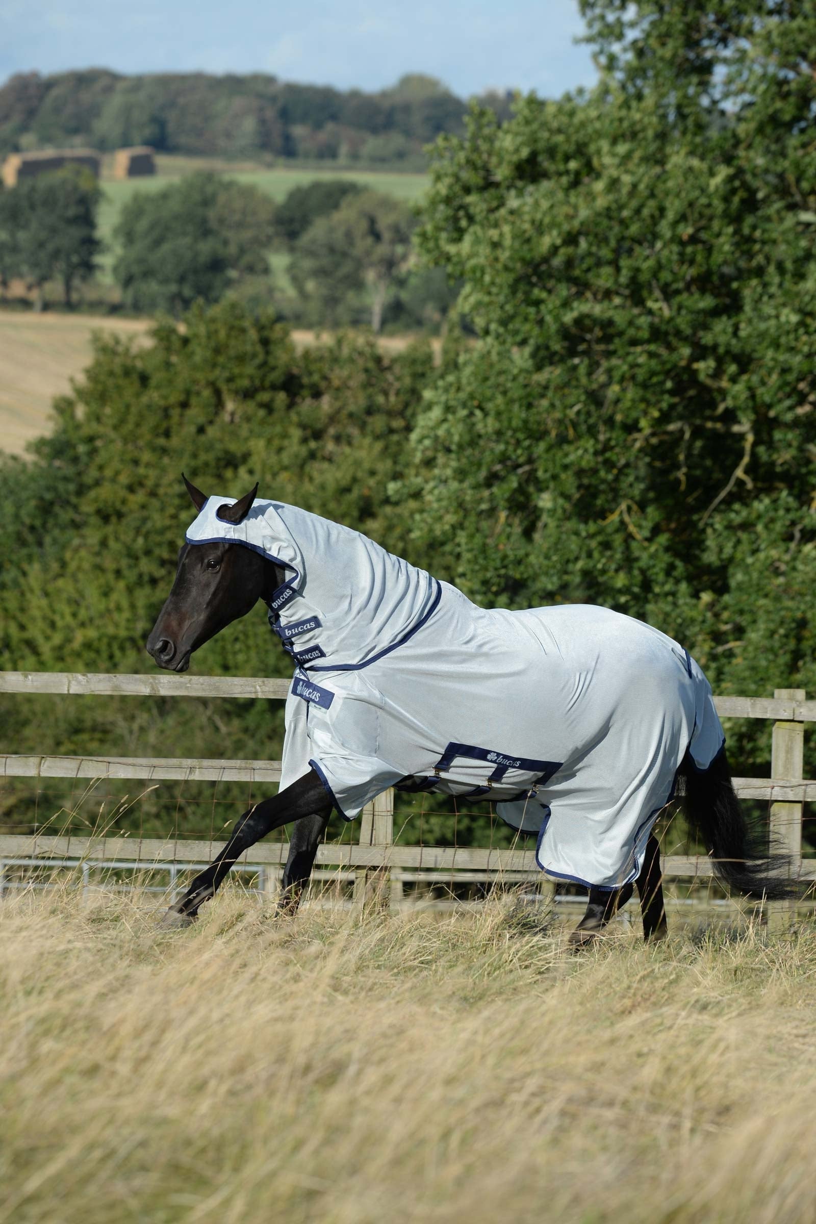 Bucas Buzz-Off X Big Neck couverture anti-mouches avec partie de cou fixe Couvertures cheval