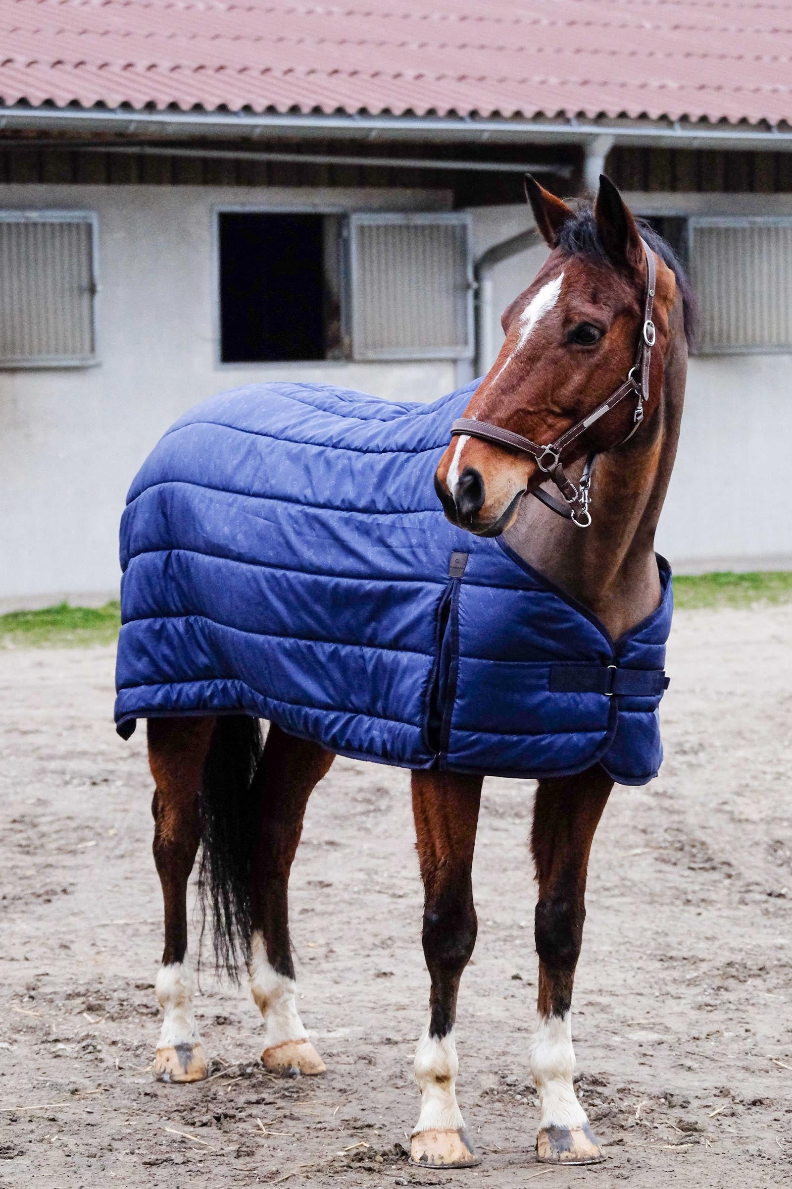 Equi Theme EQUITHÈME Classic Under Rug, 100 g Horse Rugs