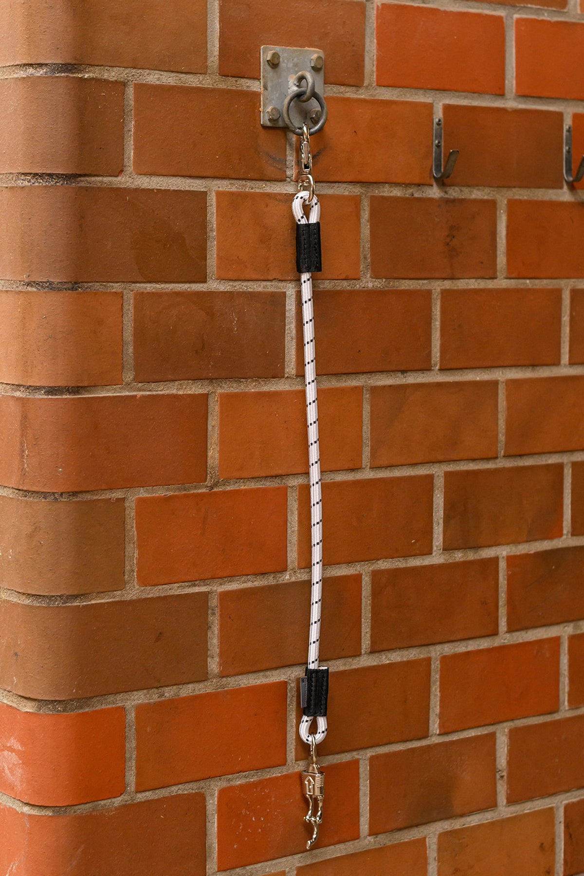 Waldhausen Elastic Trailer & Stable Tie (90 cm) Stable Equipment