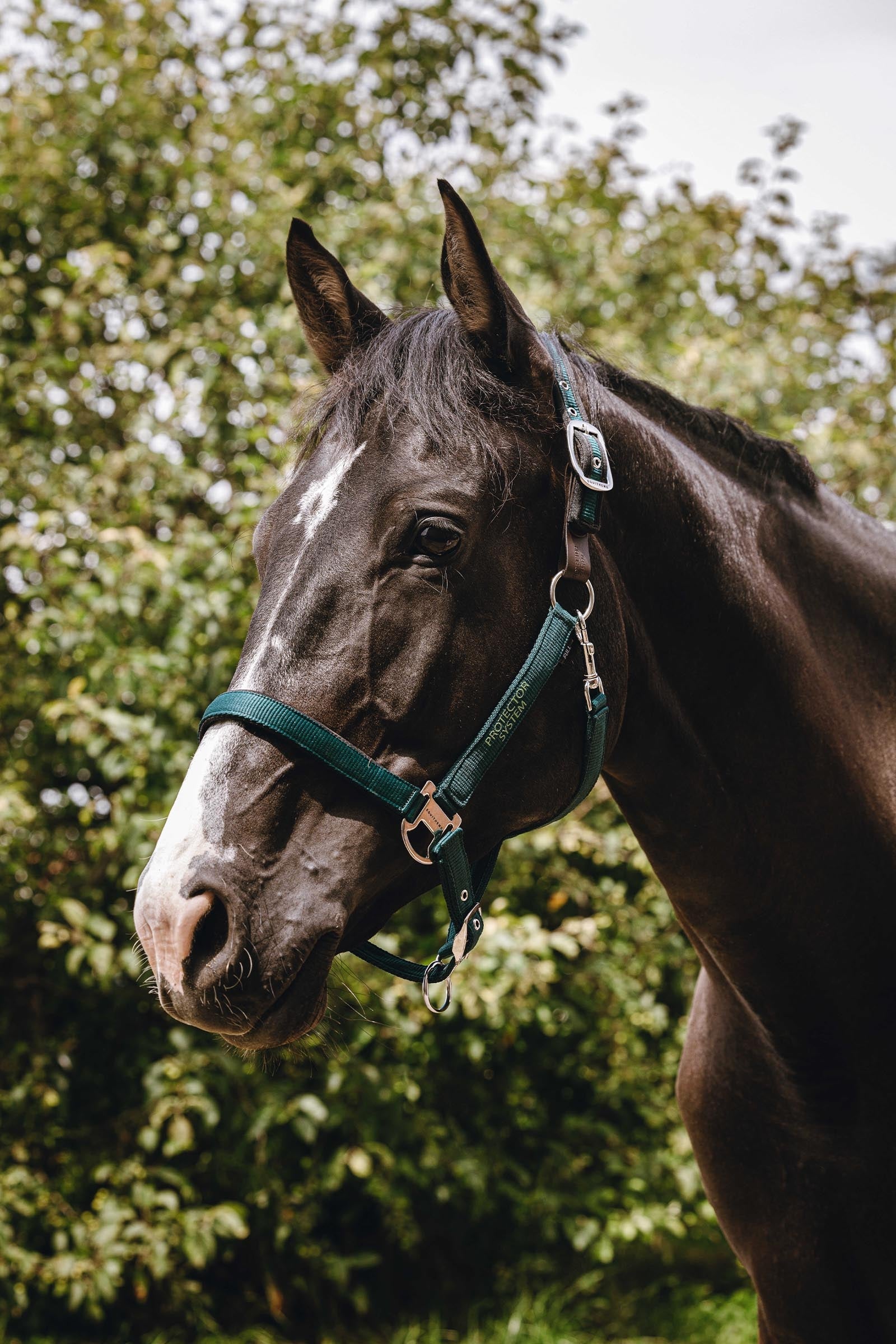 EQUITHÈME Protector licol en nylon Licols & longes