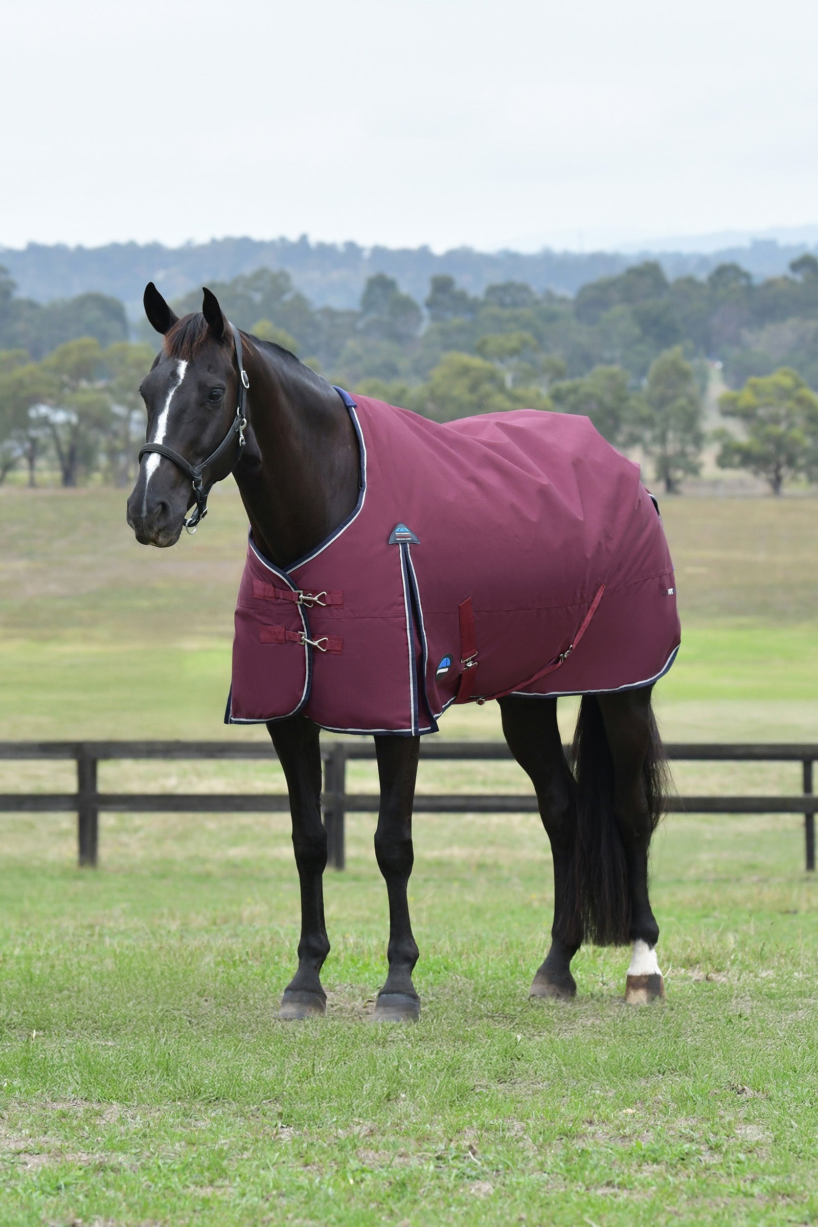 Weatherbeeta ComFiTec Essential Turnout Rug, 0 g Couvertures cheval