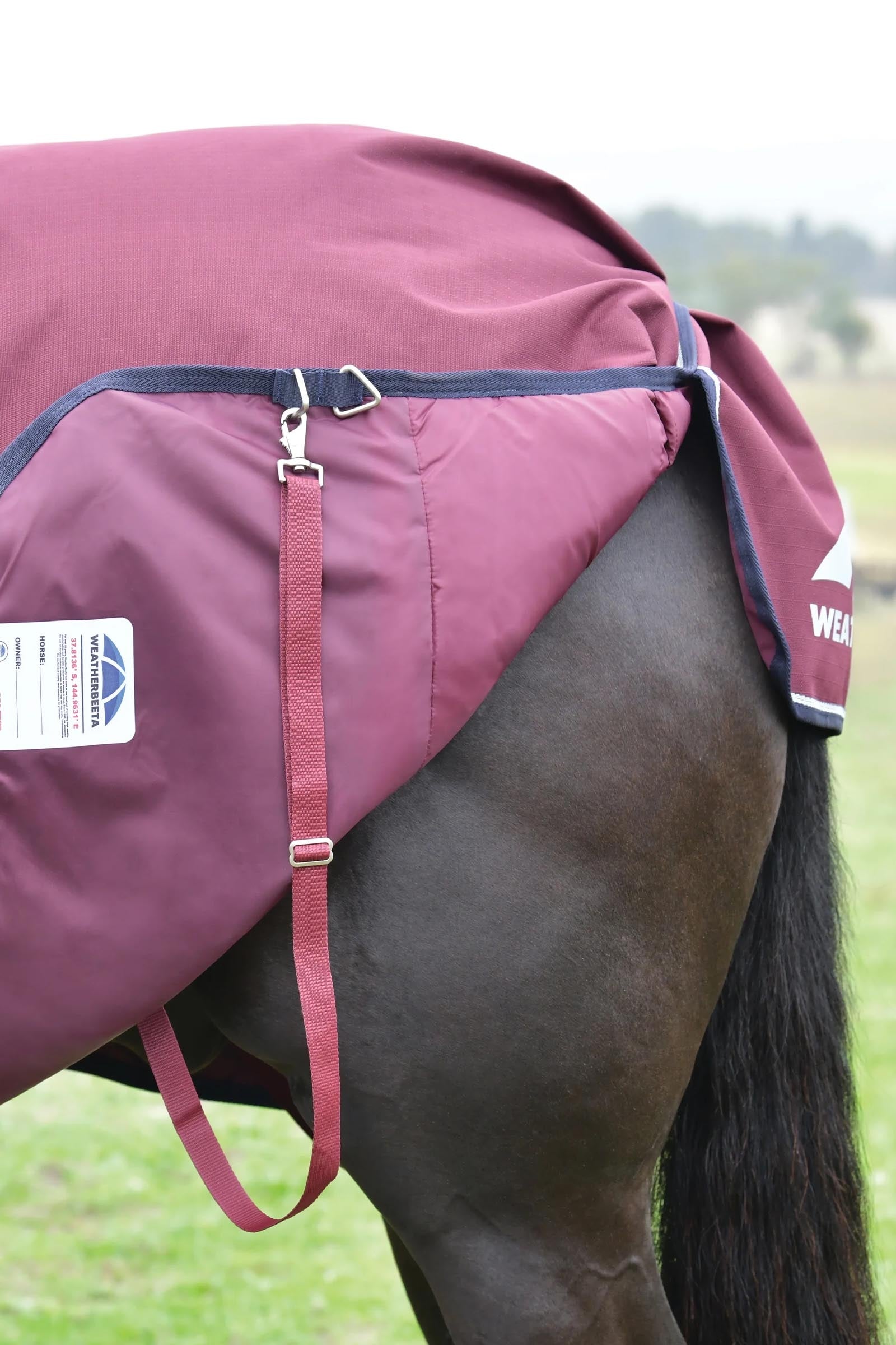 Weatherbeeta ComFiTec Essential Turnout Rug, 0 g Horse Rugs