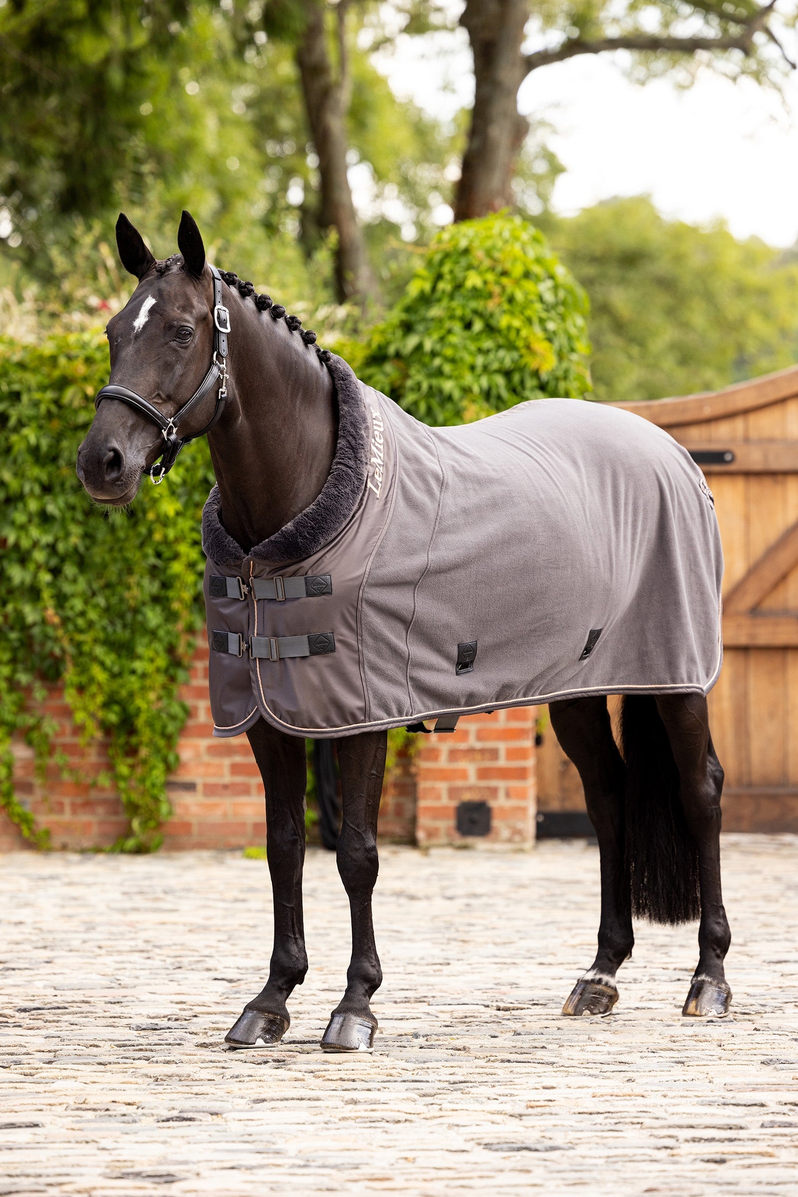 LeMieux Couverture polaire de luxe Couvertures cheval