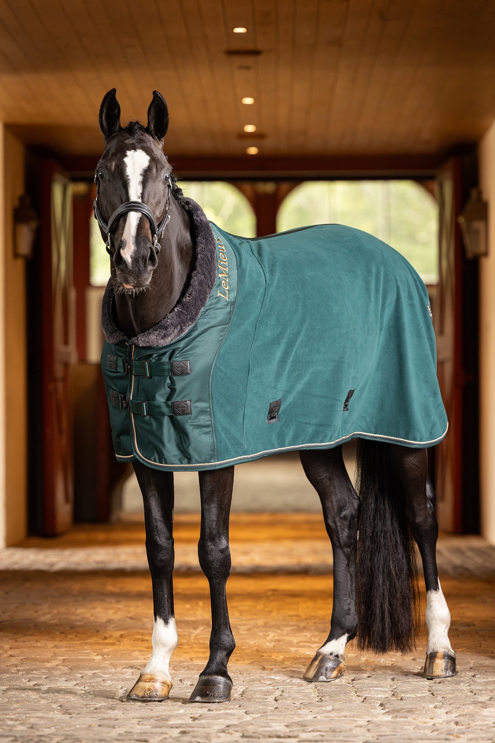 LeMieux Couverture polaire de luxe Couvertures cheval