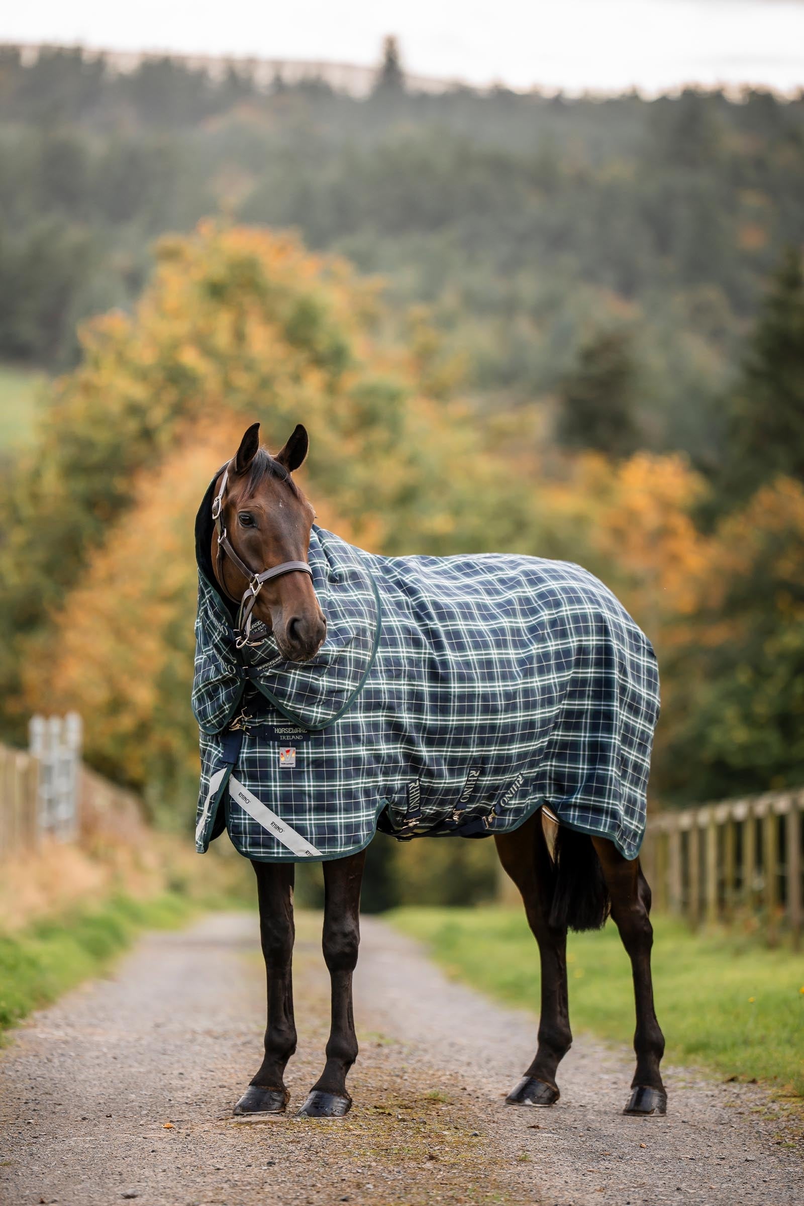 Horseware Rhino Plus Vari-Layer Turnout Rug With Detachable Neck, 250g Horse Rugs