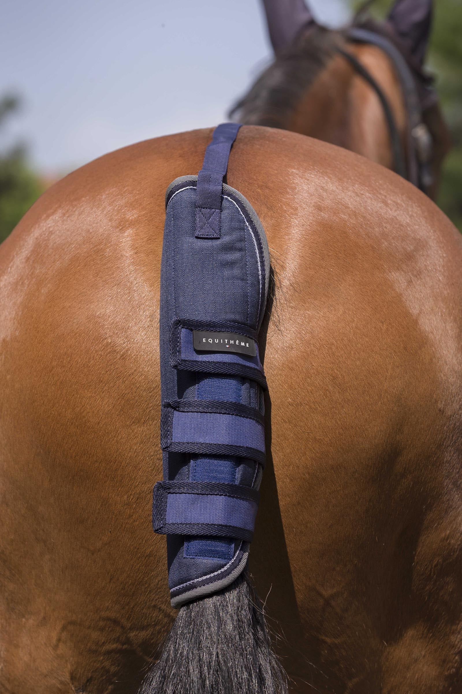 Equi Theme EQUITHÈME TYREX 600D protège-queue Leg & Hoof Protection