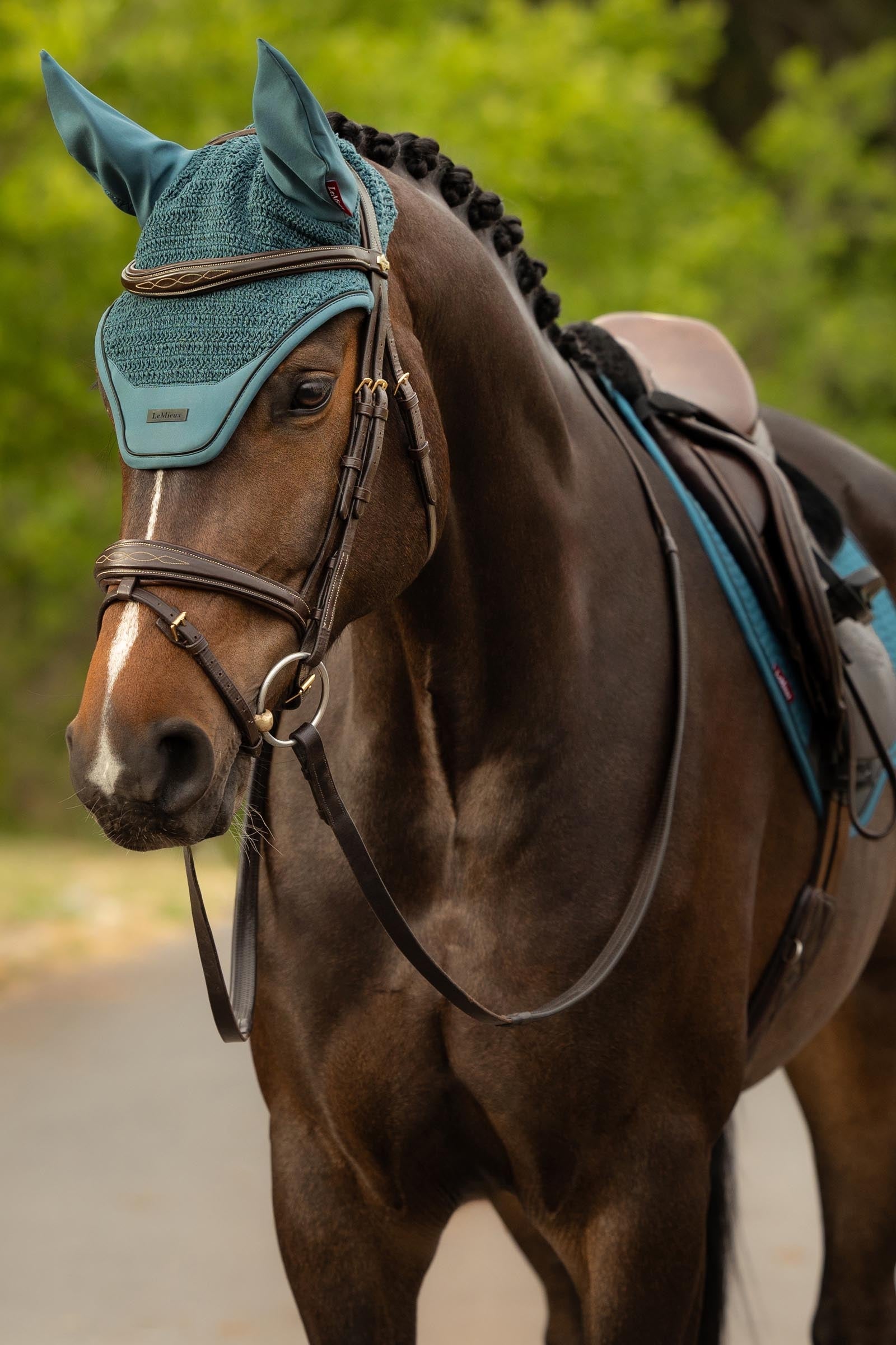 LeMieux Essence Fly Hood Saddle Pads
