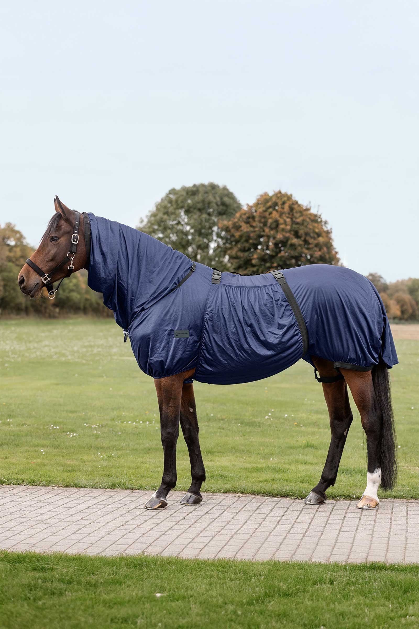 Waldhausen couverture contre l'eczéma Couvertures cheval