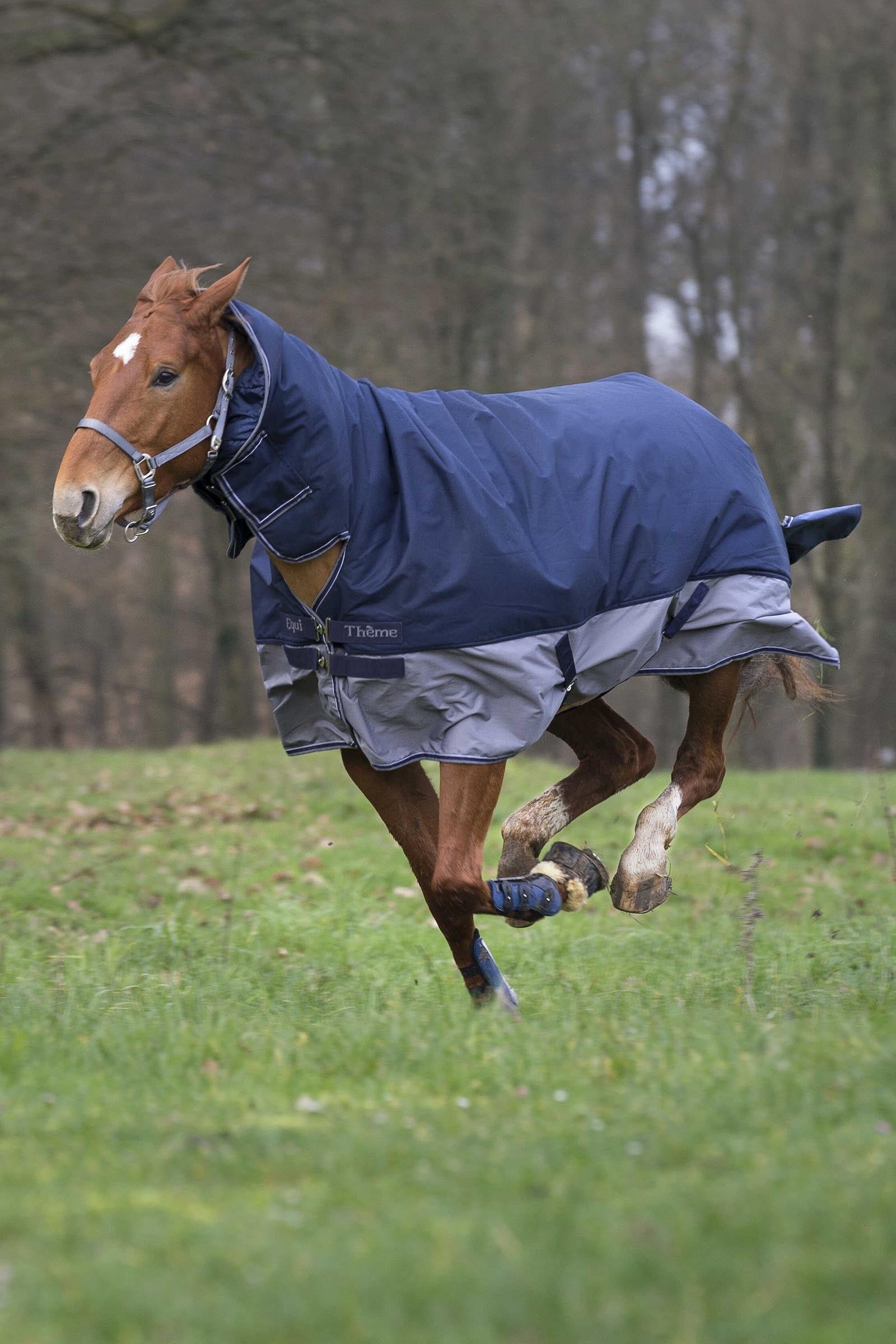 Equi Theme EQUITHÈME TYREX 600D Combo Rug, 350 g Horse Rugs