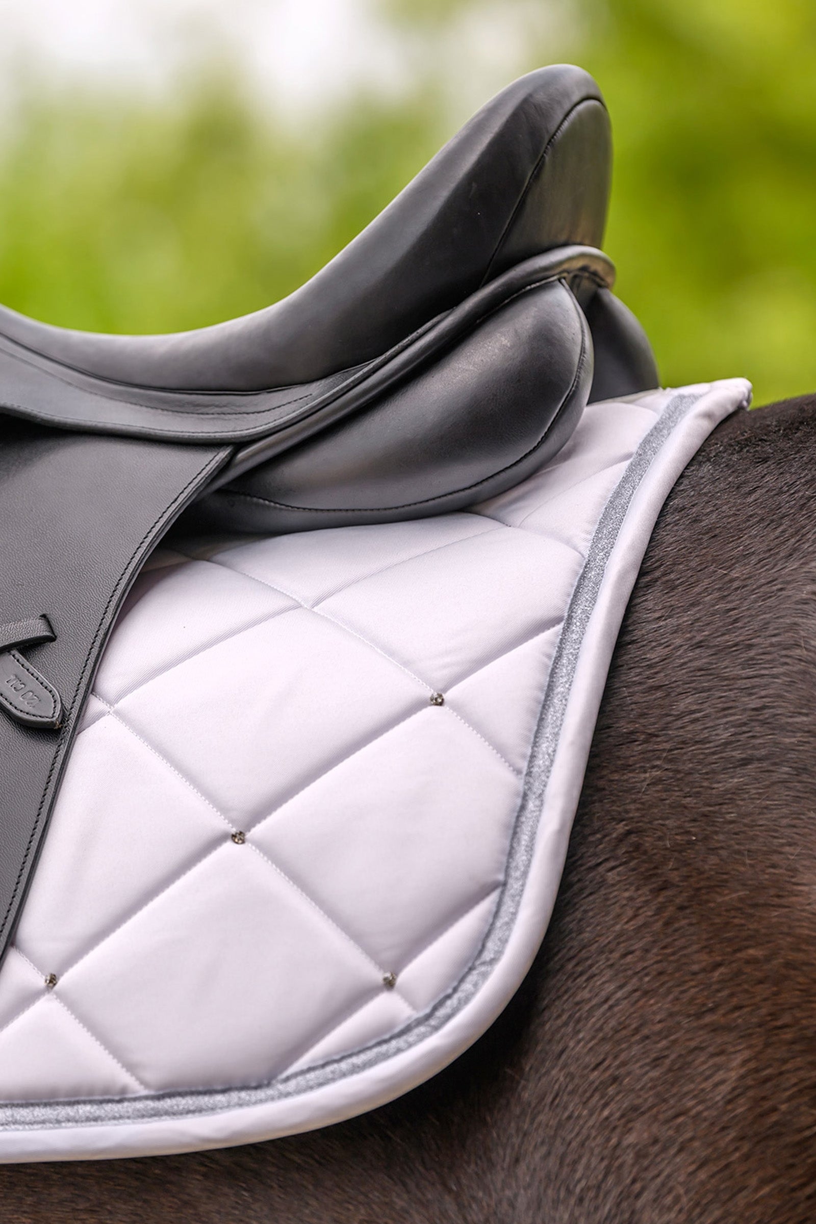 Waldhausen Competition All Purpose Pad Saddle Pads