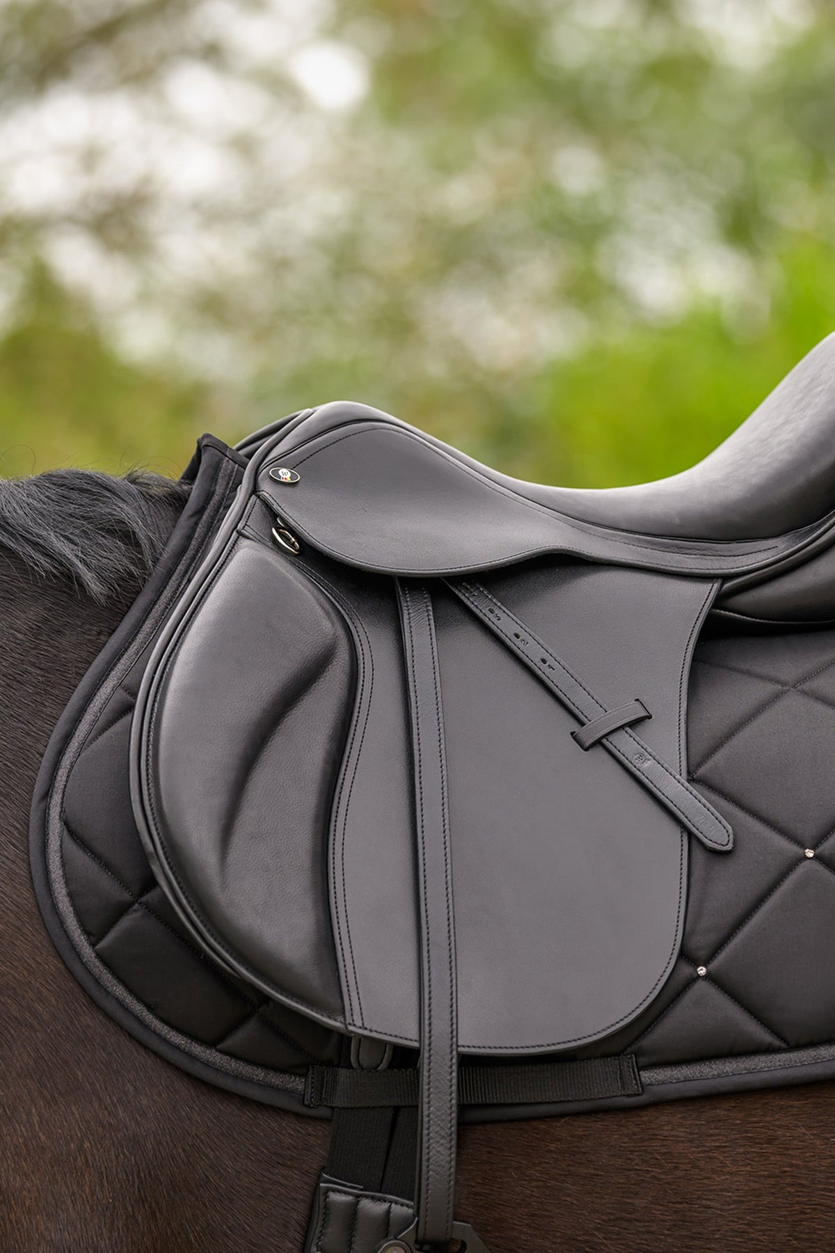 Waldhausen Competition All Purpose Pad Saddle Pads