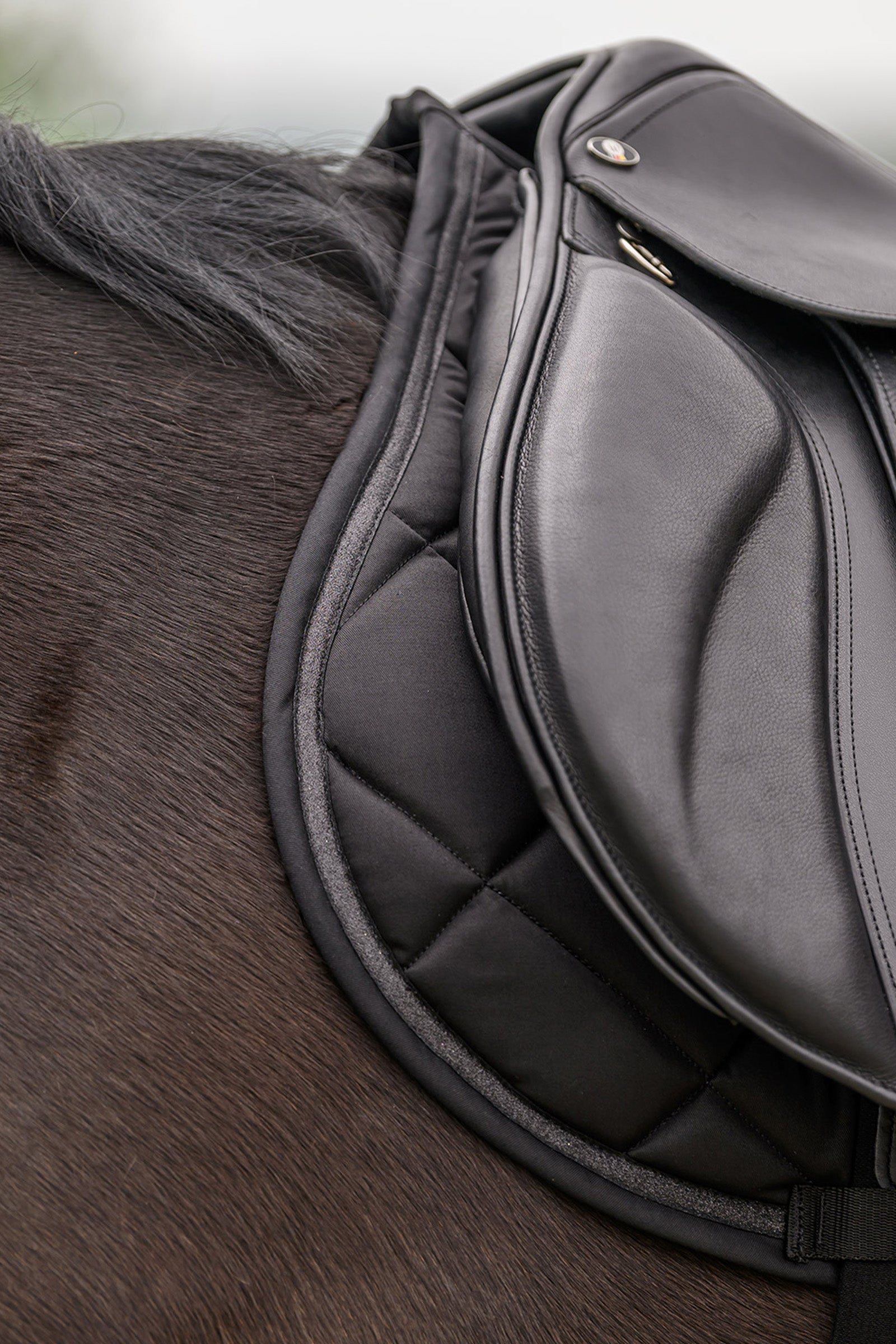 Waldhausen Competition All Purpose Pad Saddle Pads