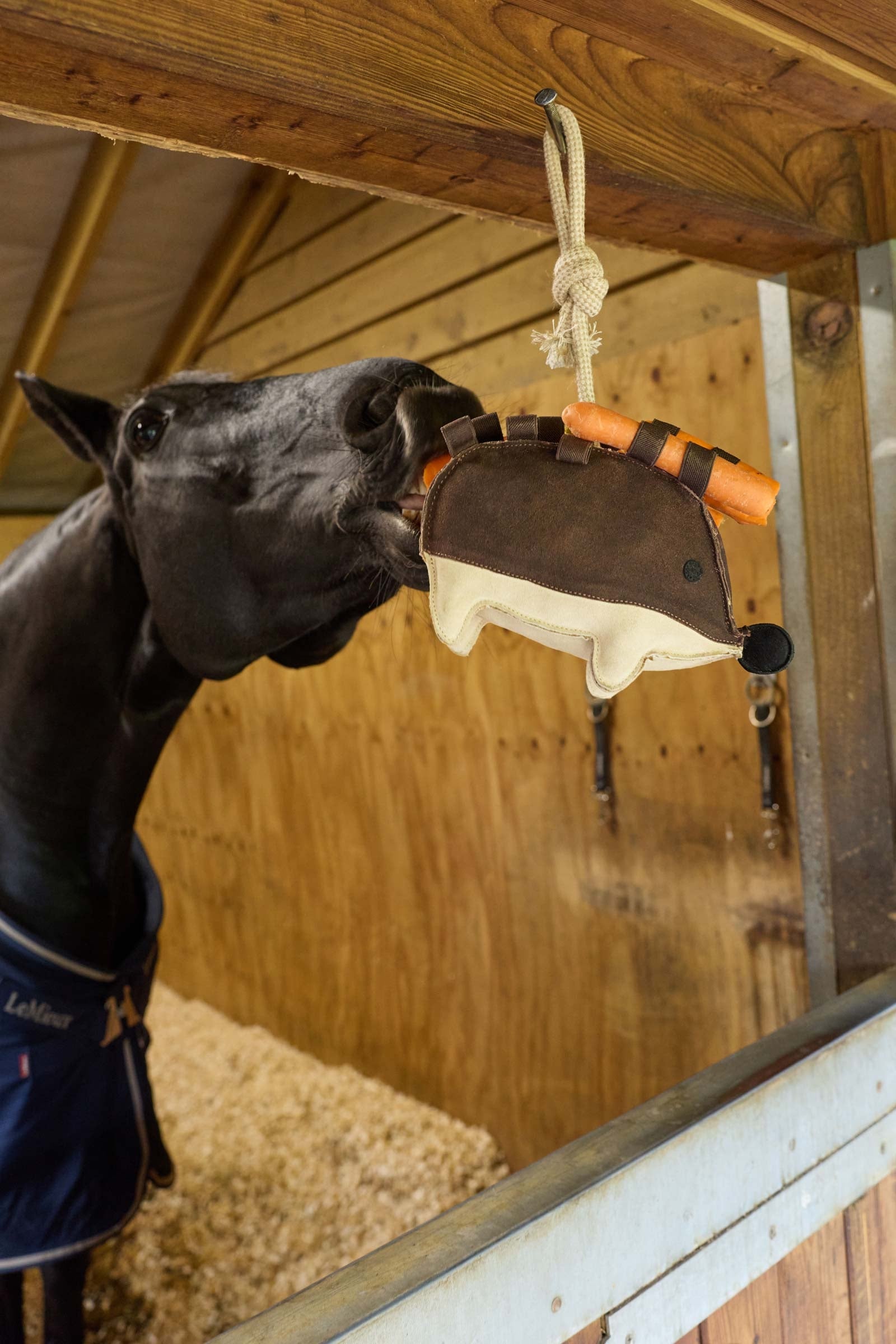 LeMieux Hedgehog Horse Toy Gifts & Toys