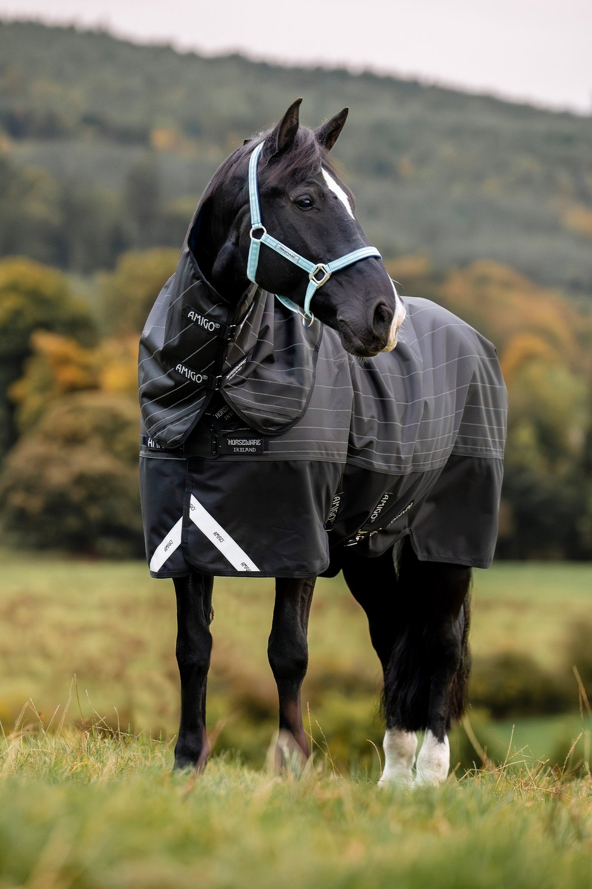 Horseware Amigo 1200D FieldSafe Reflectech Plus couverture d’extérieur avec couvre-cou amovible, 0 g Couvertures cheval