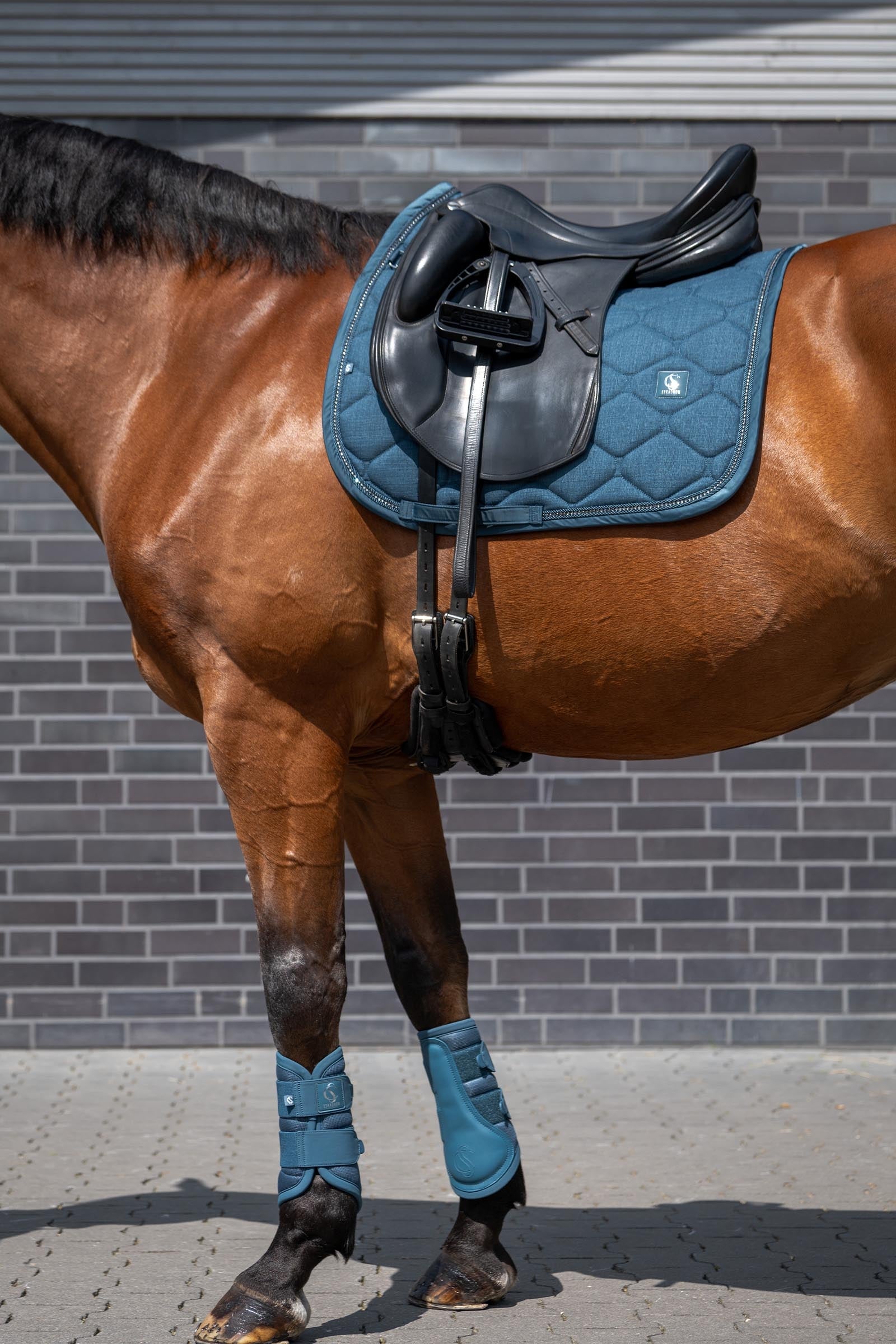 Eskadron Classic Sport SS26 Mesh Tendon Boots Leg Protection & Hoof Protection for Horses