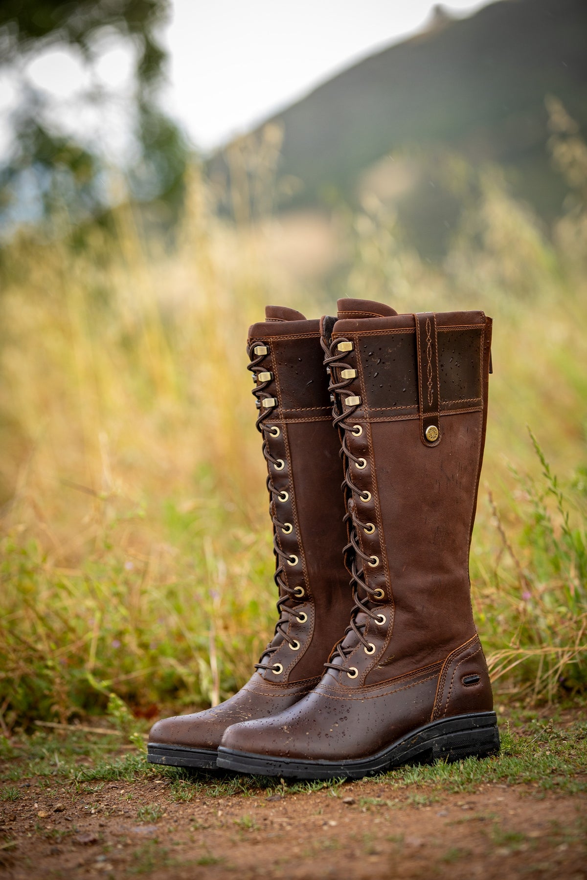 Ariat Women's Wythburn Waterproof Boot Riding Boots & Riding Shoes