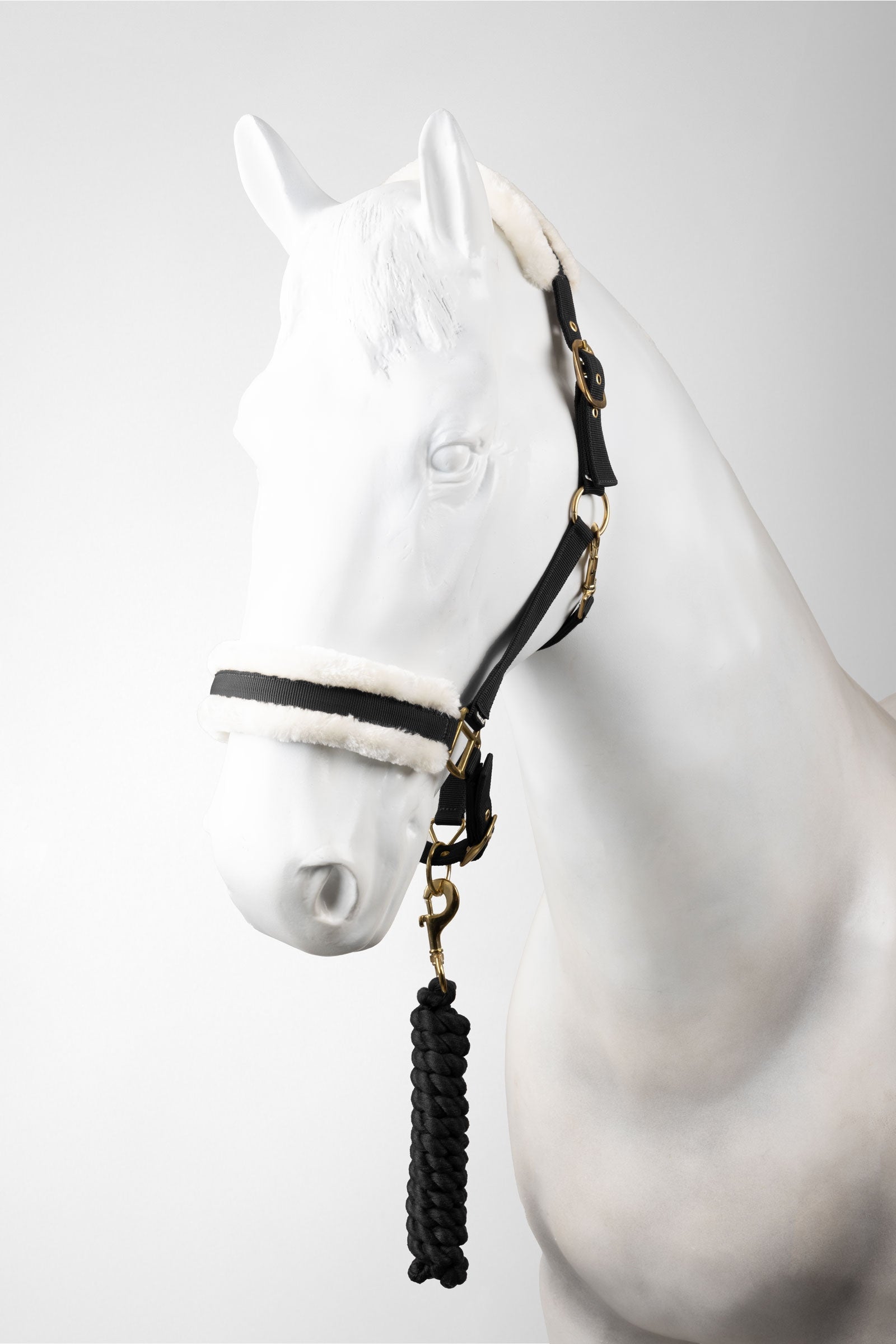 Horze licol et longe ensemble Licols & longes