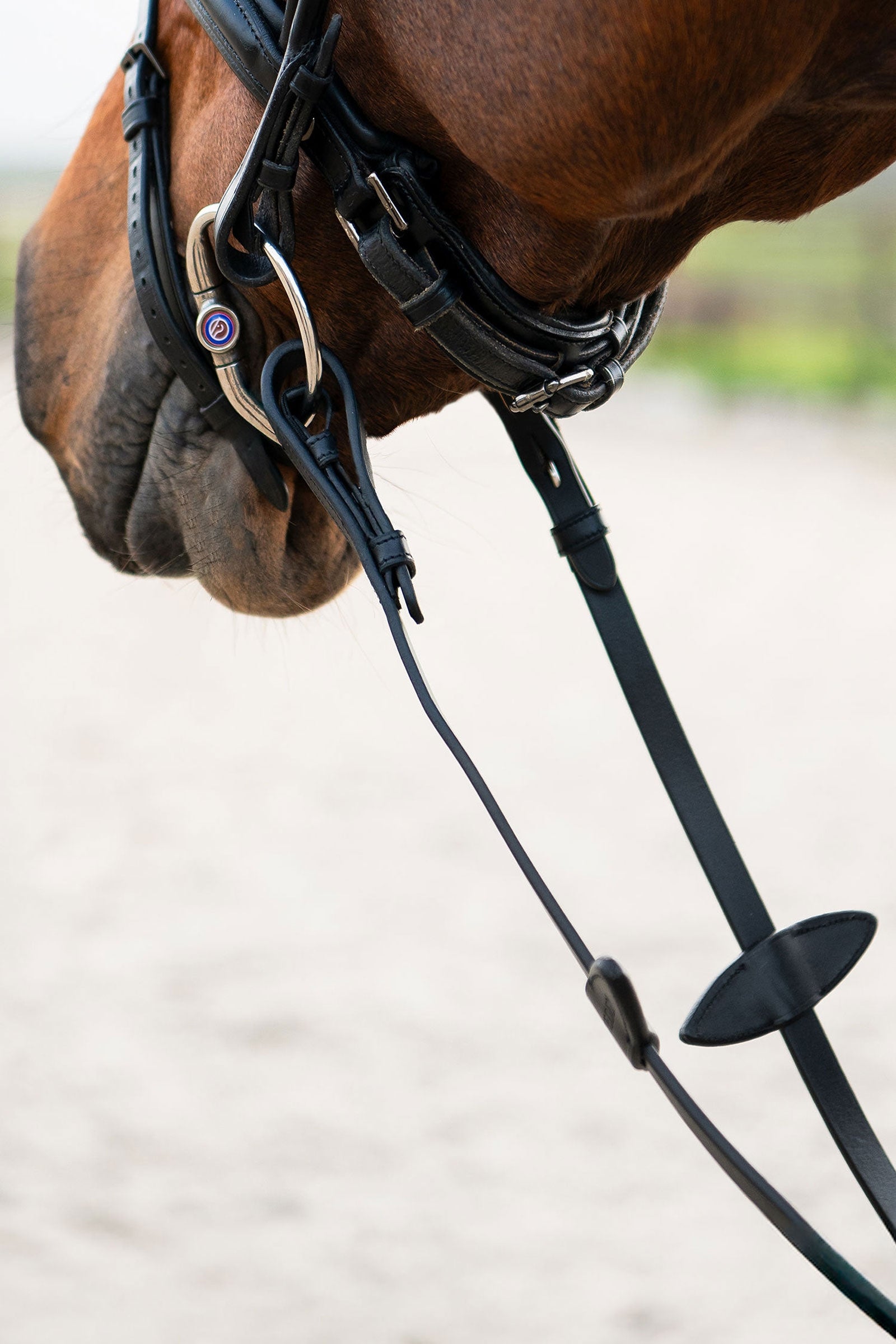 PS of Sweden Rome Rubber Reins Bridles & Reins