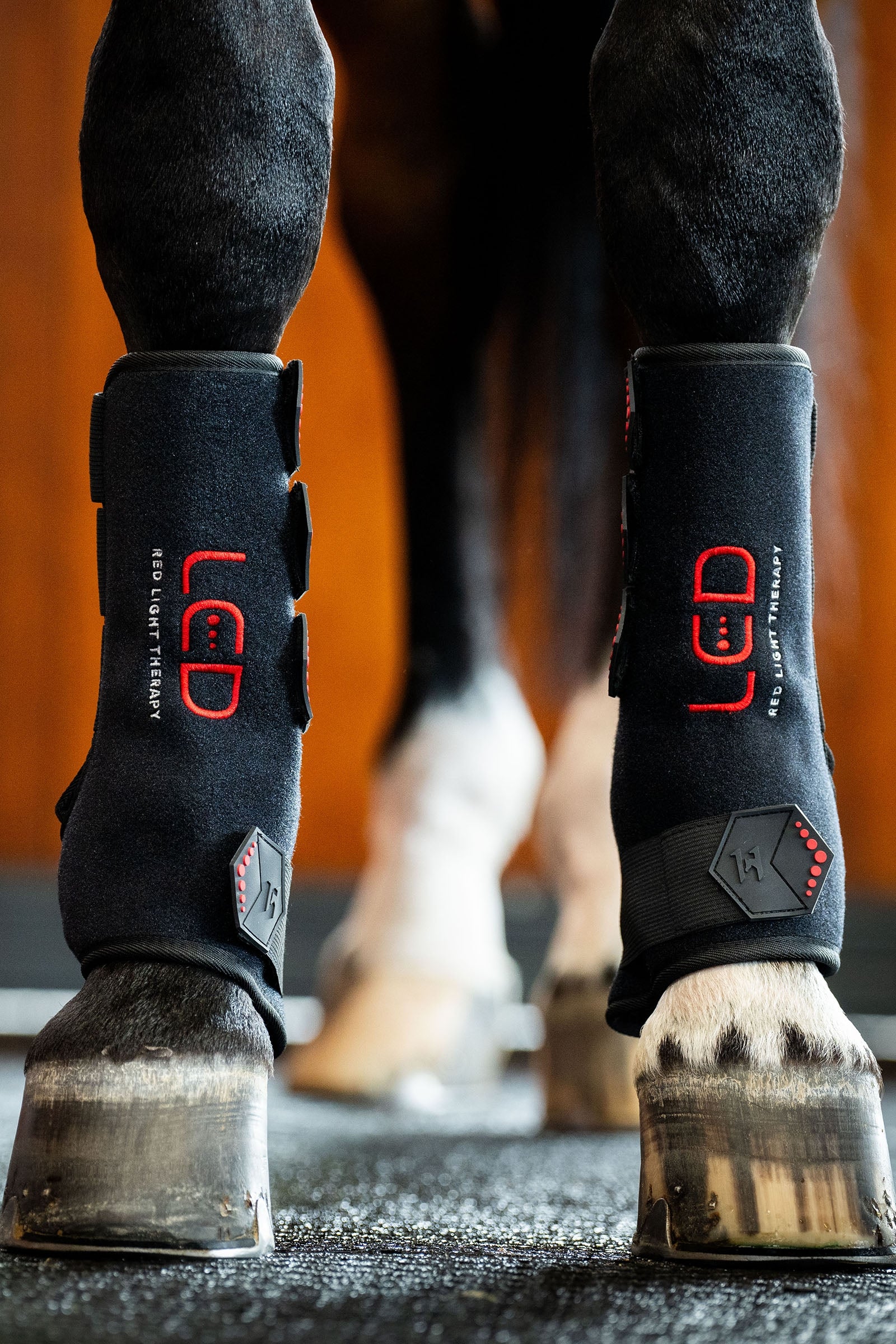 Horseware guêtre thérapeutique LED à lumière rouge (1 pce) Leg Protection & Hoof Protection for Horses
