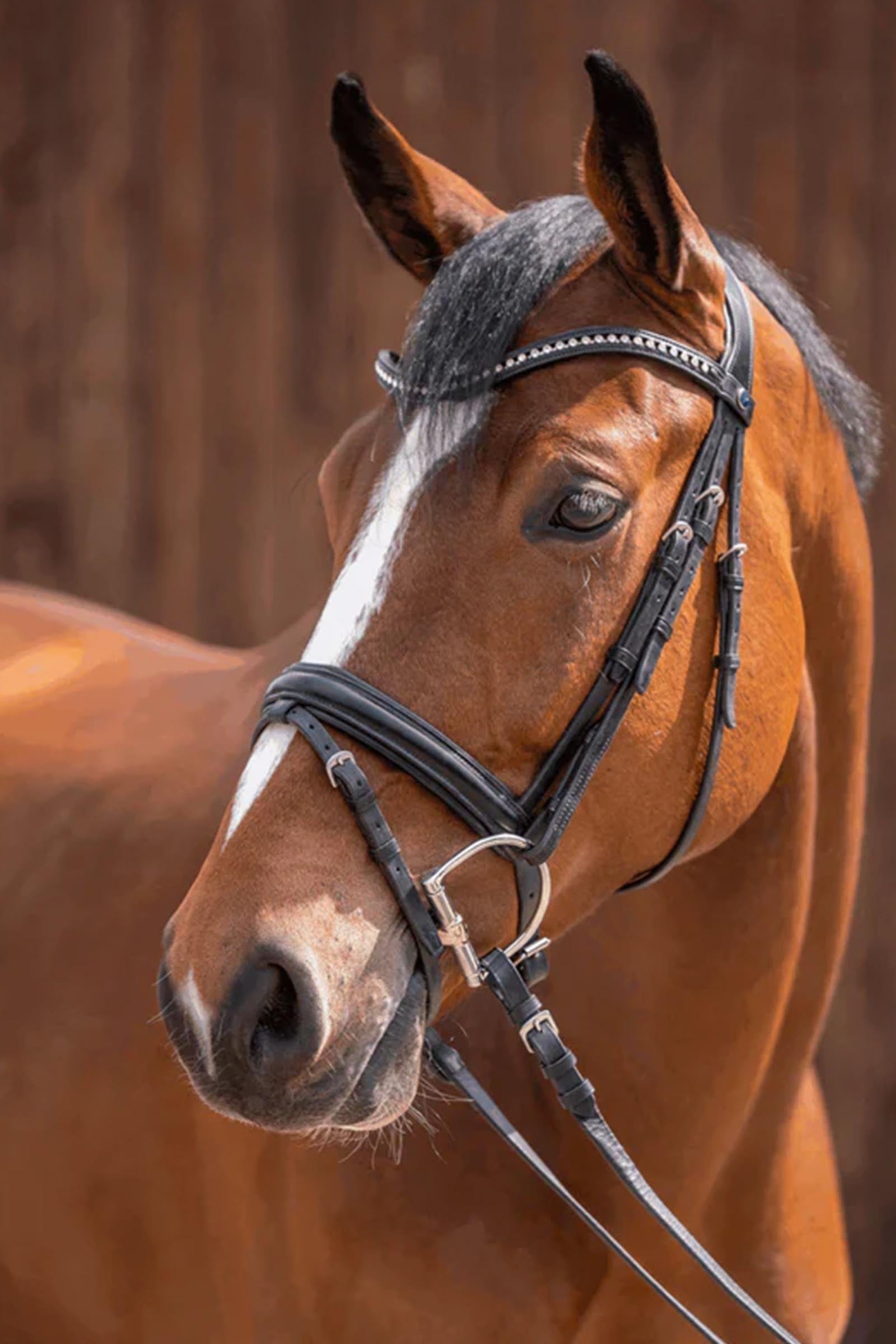 Sprenger KK D-Ring Snaffle Bit, Double Jt. 15mm, Sensogan Horse Bits