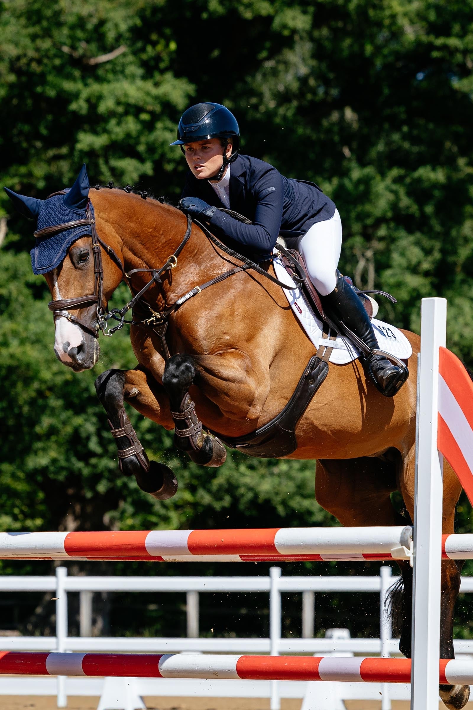 LeMieux Cotton Square CC All Purpose Saddle Pad Saddle Pads