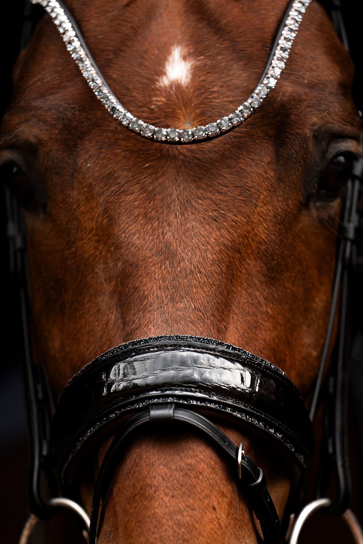 Schockemöhle Sports Schockemöhle SP Luxury Dressage Bridle Bridles & Reins