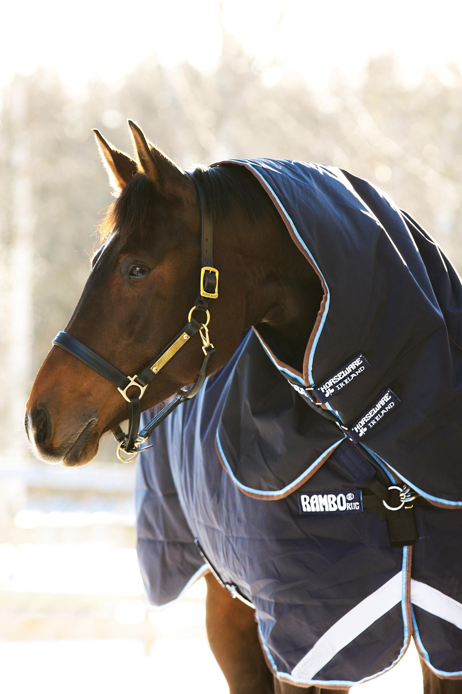 Horseware Rambo Duo Turnout incl. Detachable Hood, 100g Horse Rugs