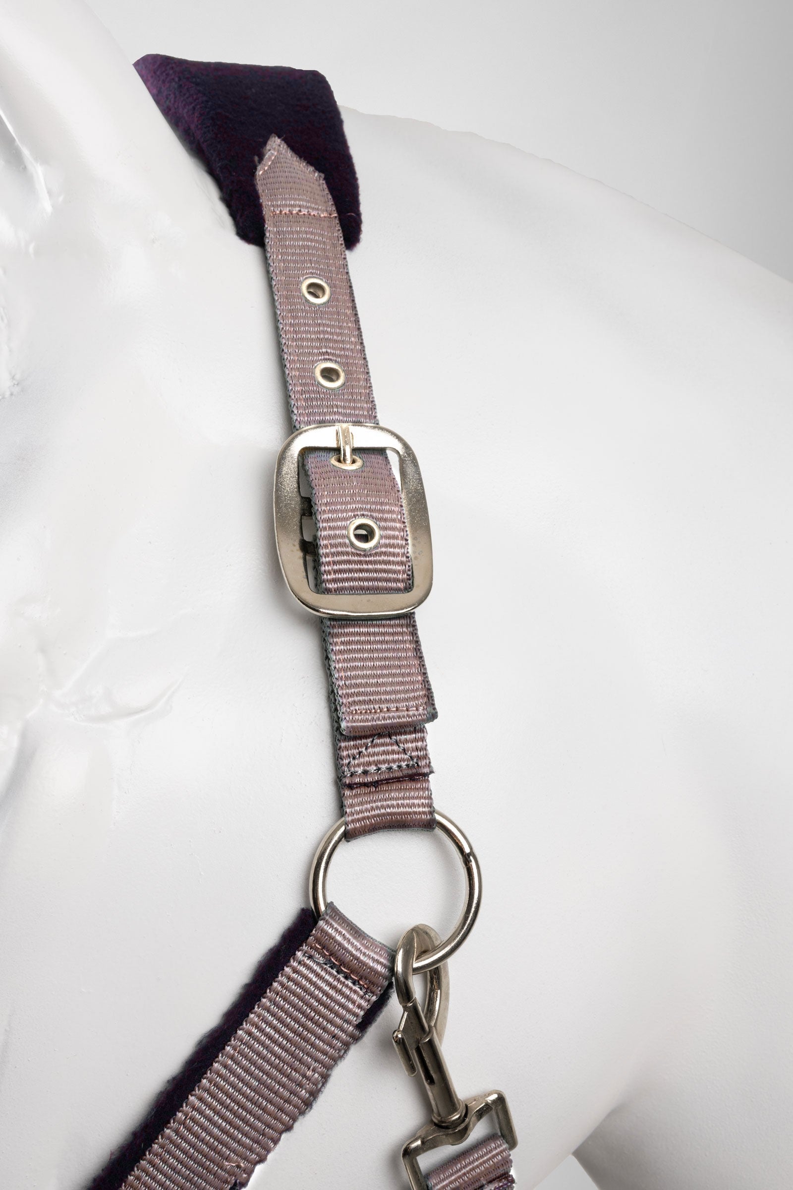 Horze Magic Halter & Lead Set Halters & Leads