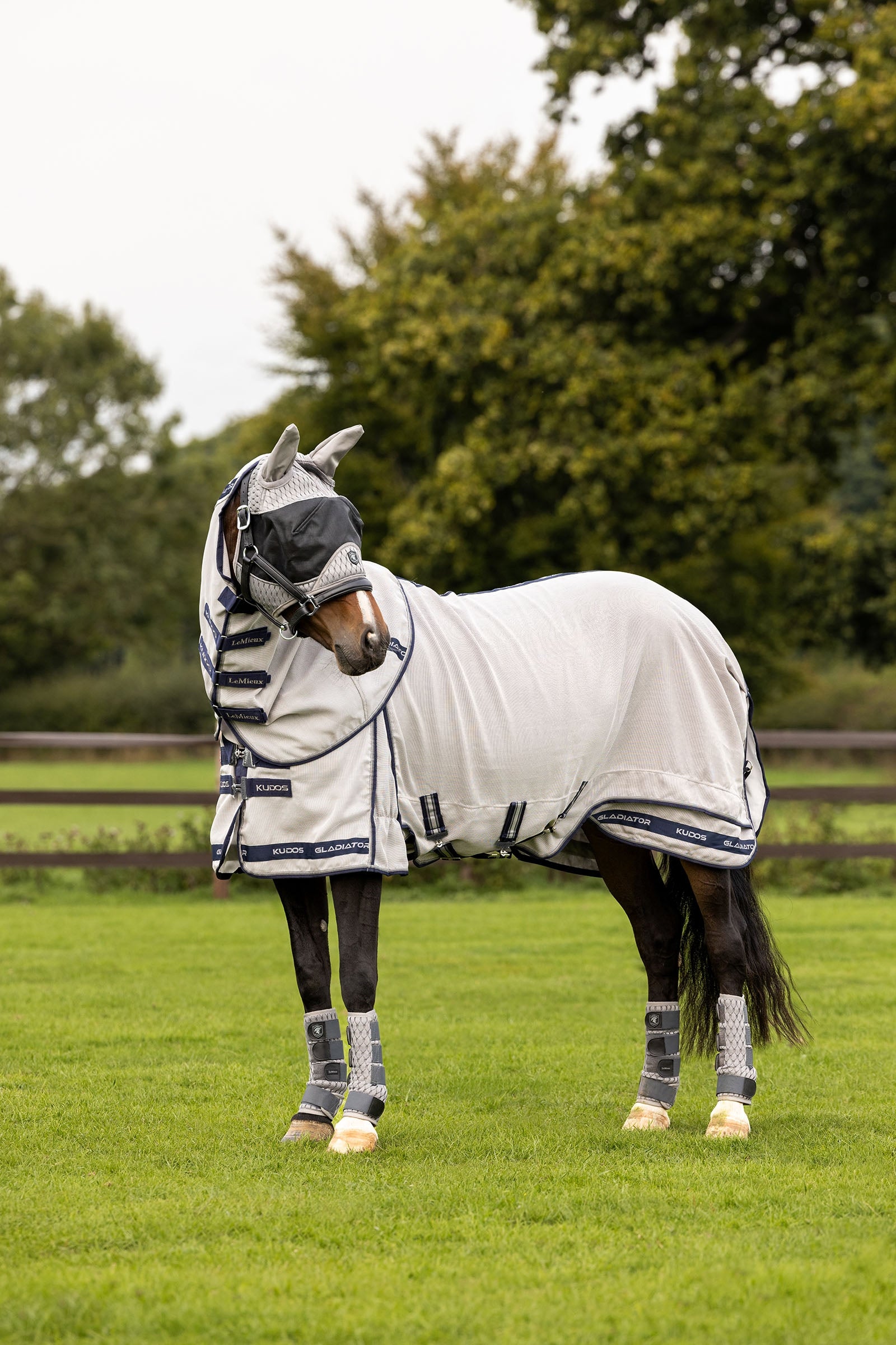 LeMieux Kudos Gladiator couverture anti-mouches Couvertures cheval