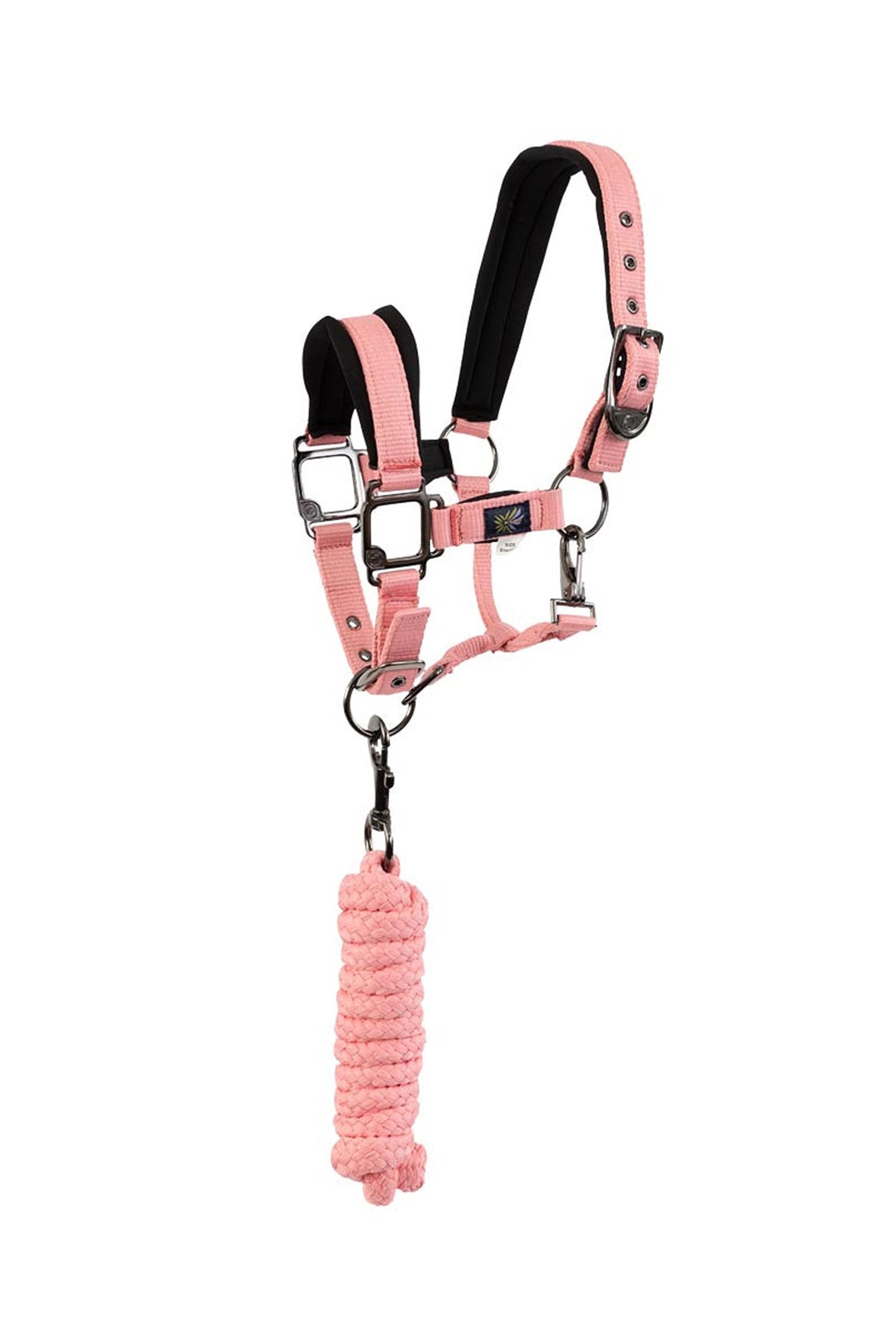 BR licol pour poney / mini horse avec longe Licols & longes