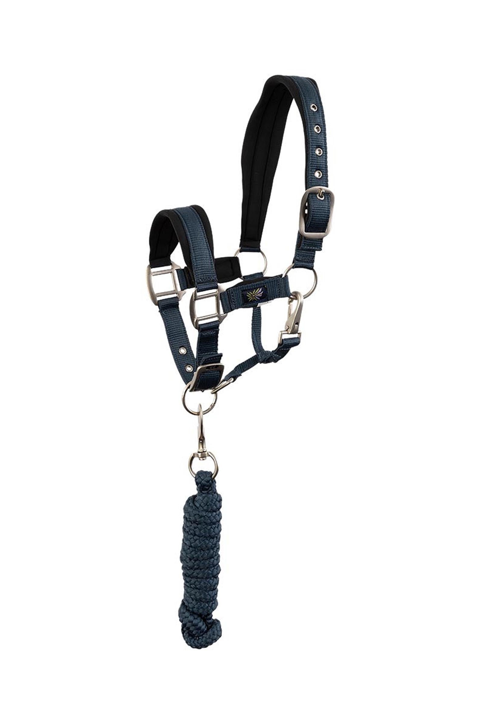 BR licol pour poney / mini horse avec longe Licols & longes