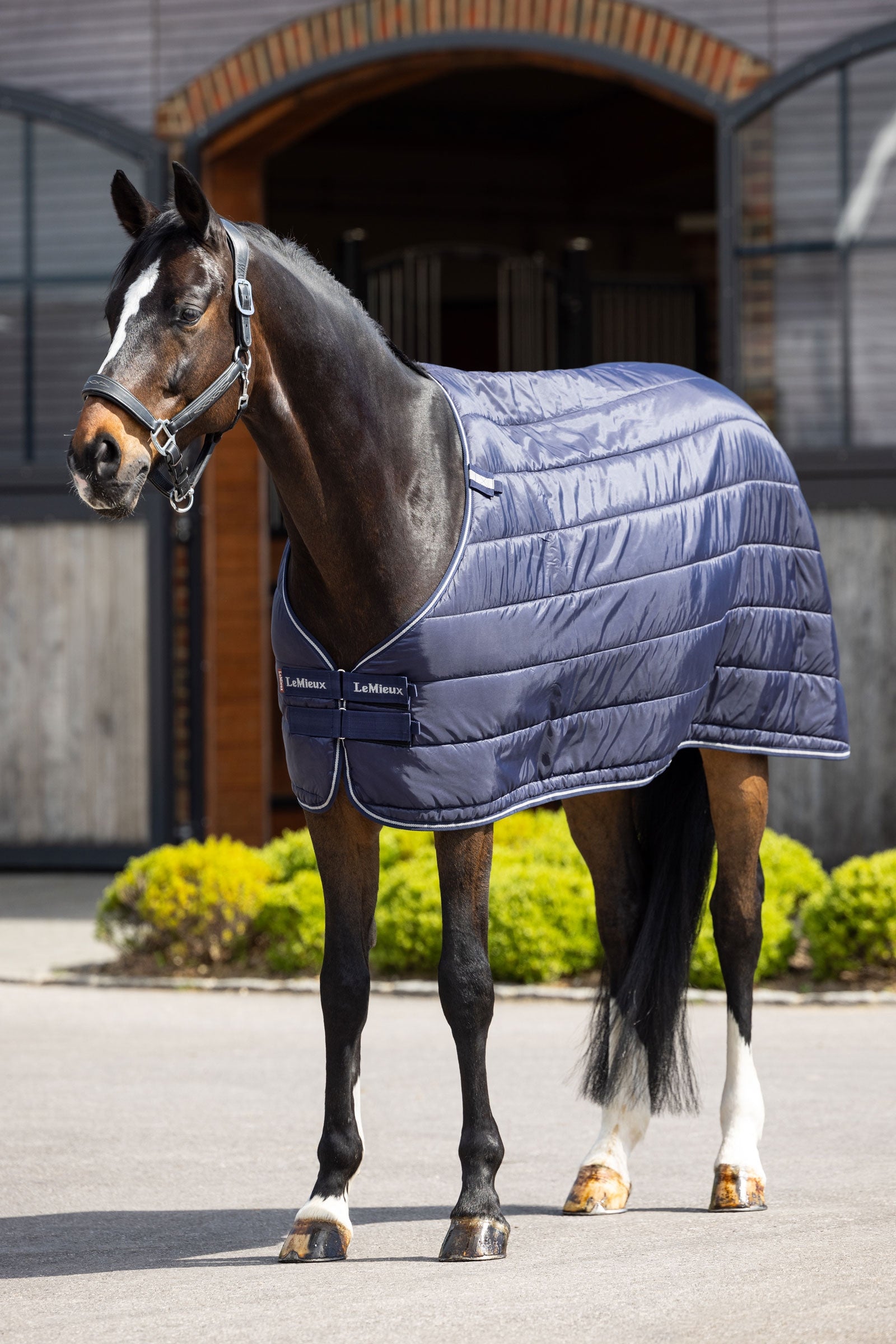 LeMieux sous-couverture, 200 g Couvertures cheval