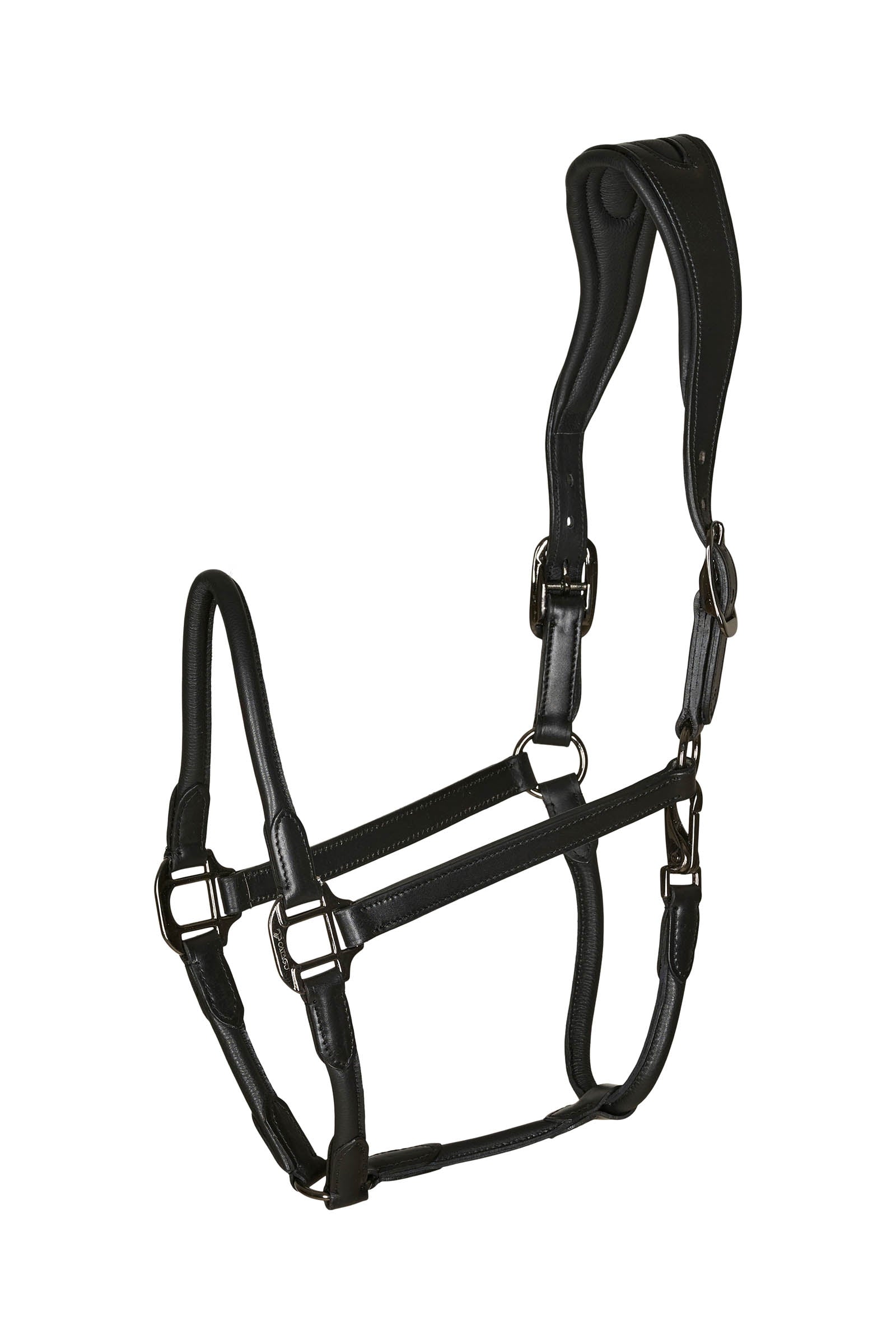Catago leather halter with round-stitched noseband Licols & longes