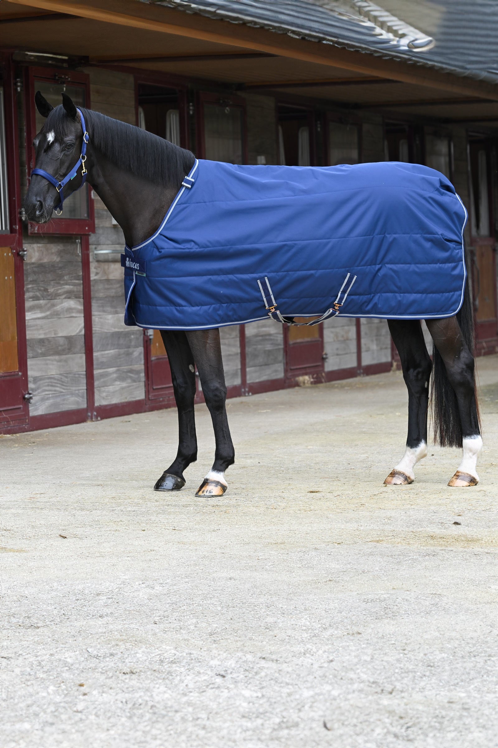 Bucas Quilt Silk-feel, 150g Horse Rugs